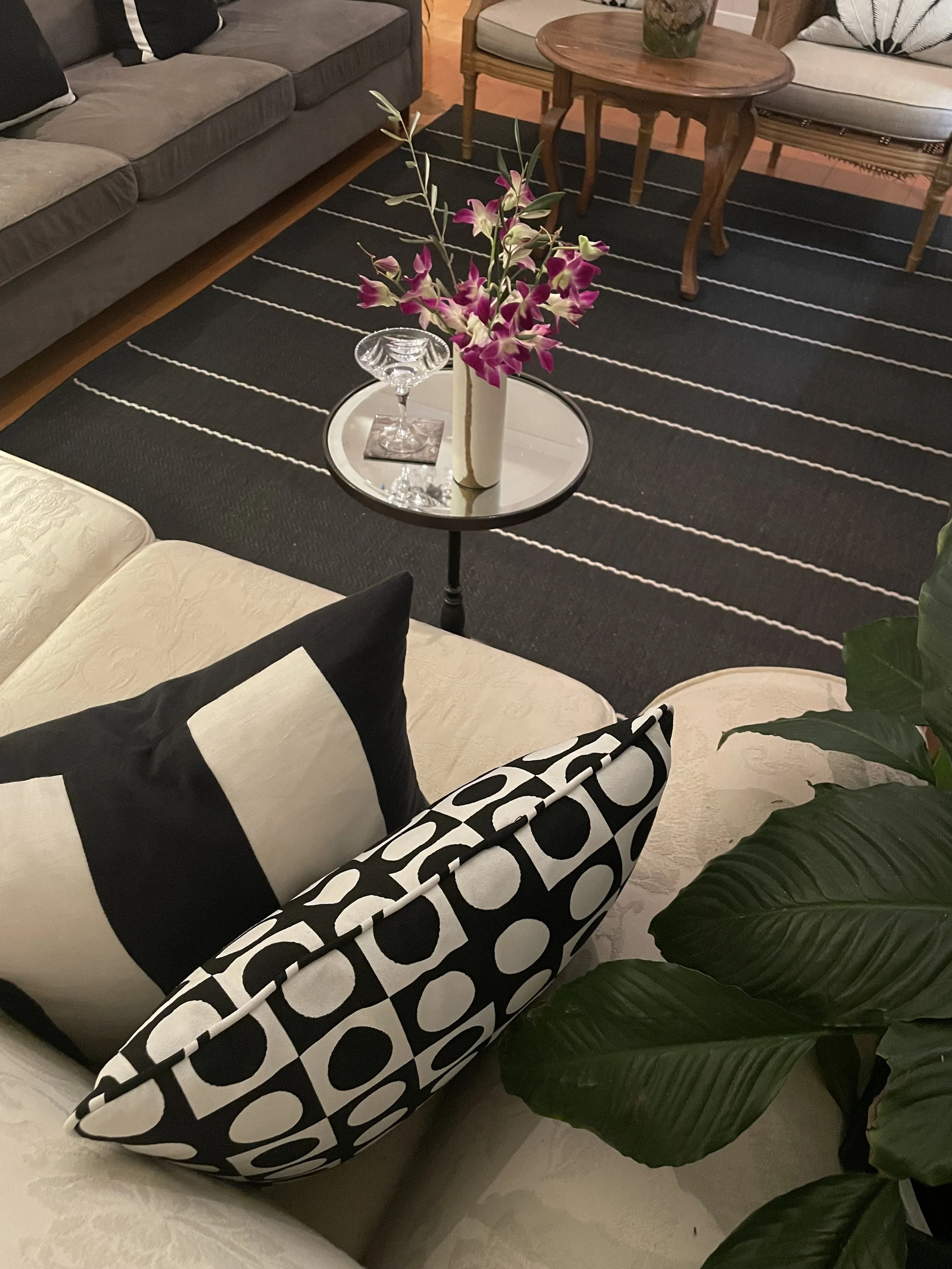 The Shop Front Collection