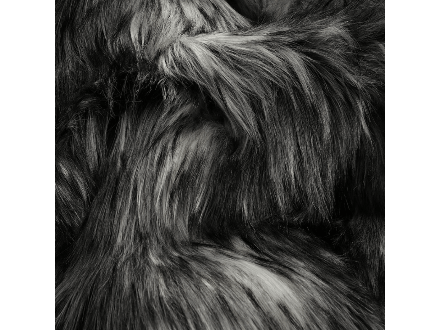 Alaskan Wolf 3.png