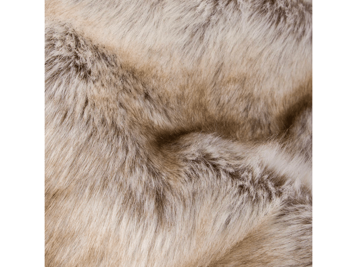 Siberian Husky 3.png