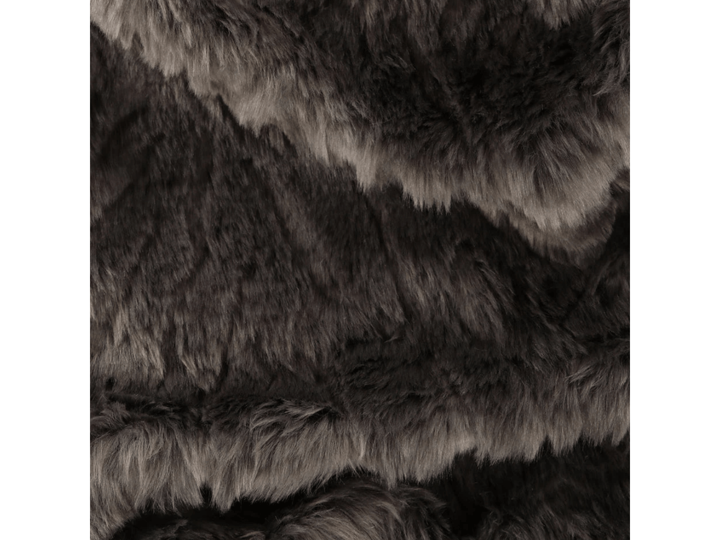 Petwer Chinchilla 3.png