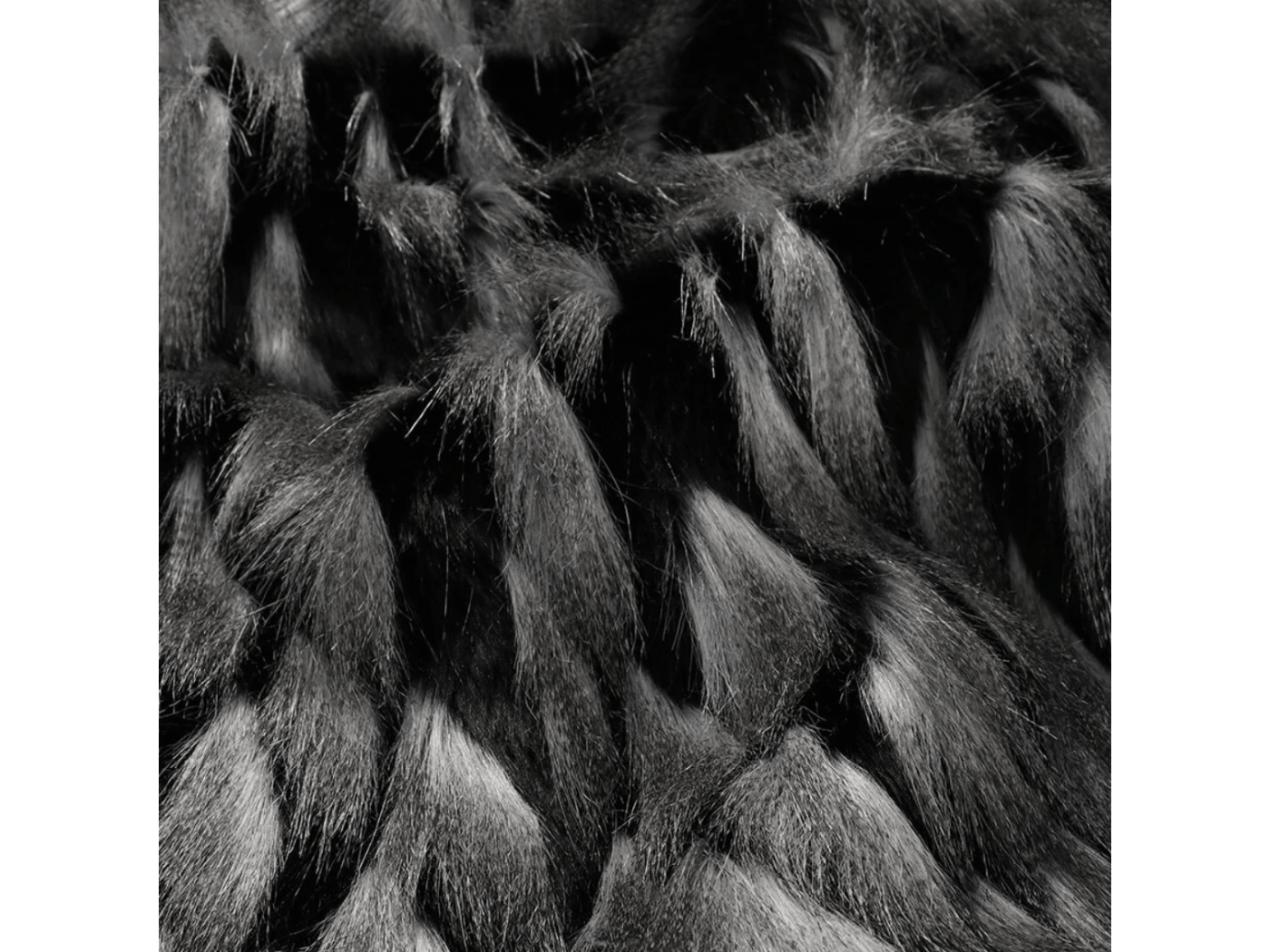Guinea Fowl 3.png