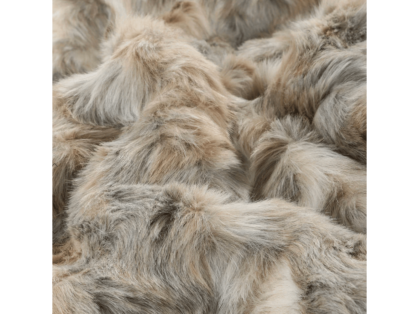 Vintage Squirrel Grey 3.png