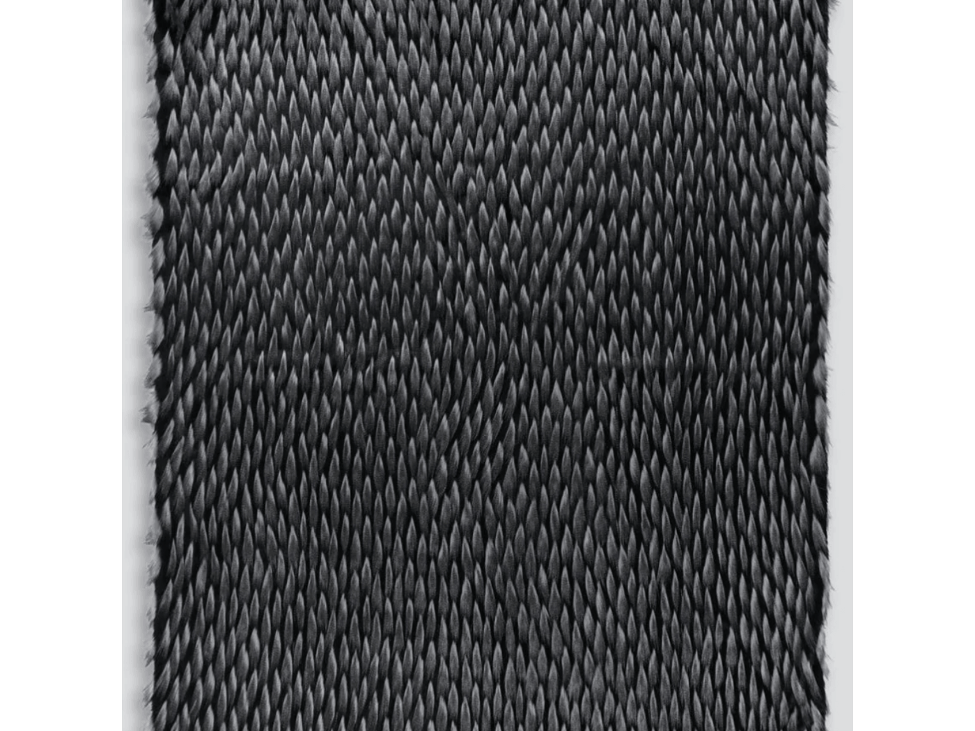 Guinea Fowl 2.png