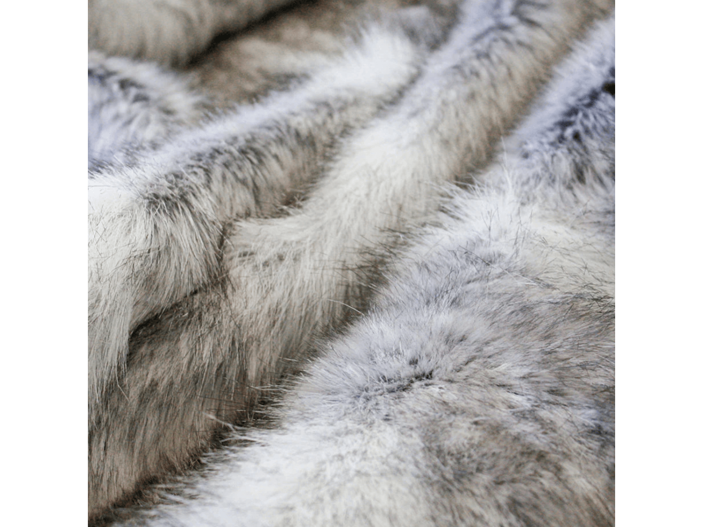 Grey Coyote 3.png