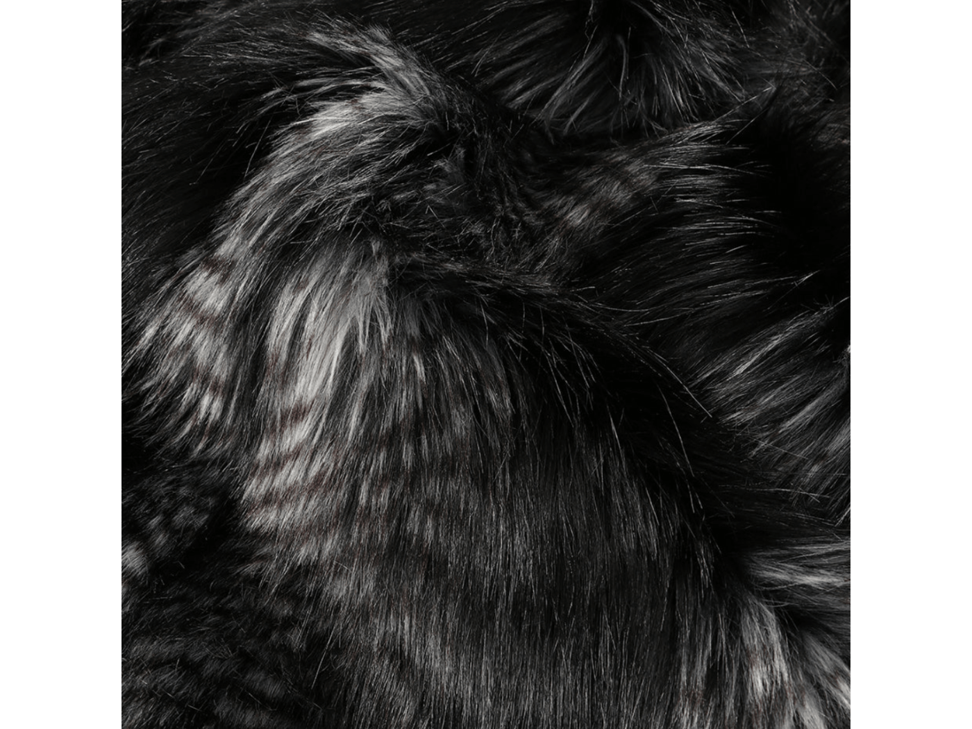 Black Coyote 3.png