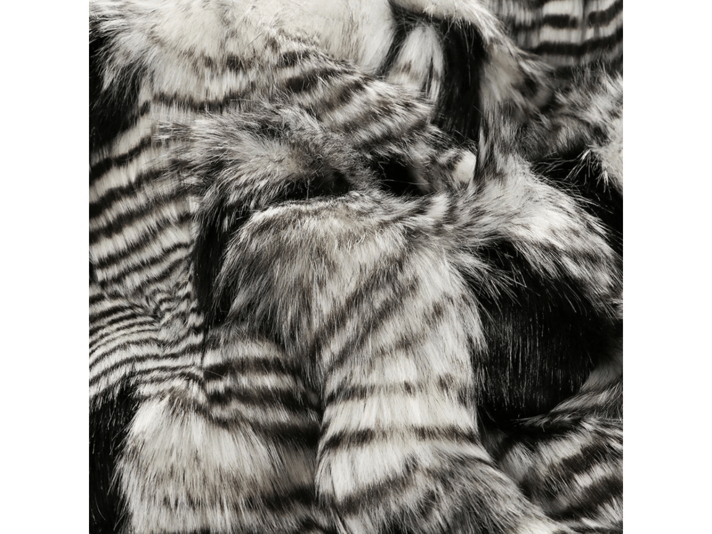 Silver Pheasant 3.png