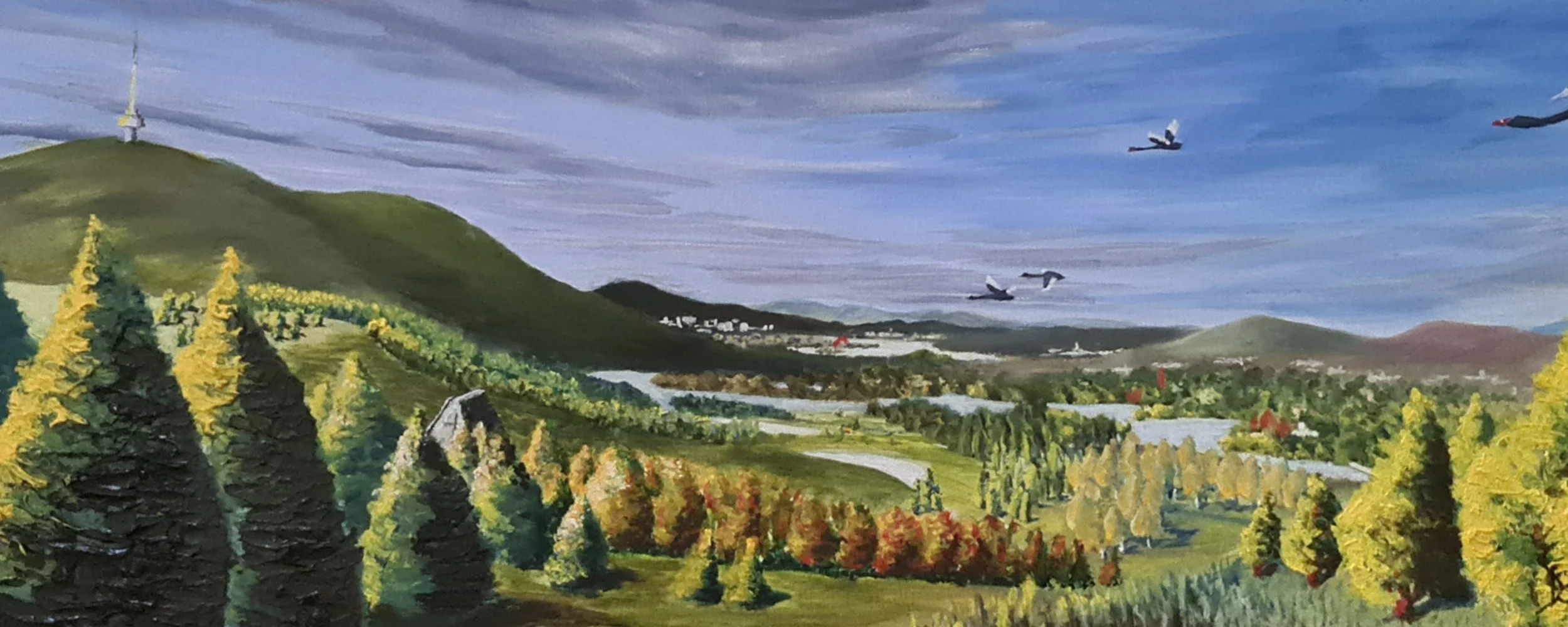 bg01.jpg