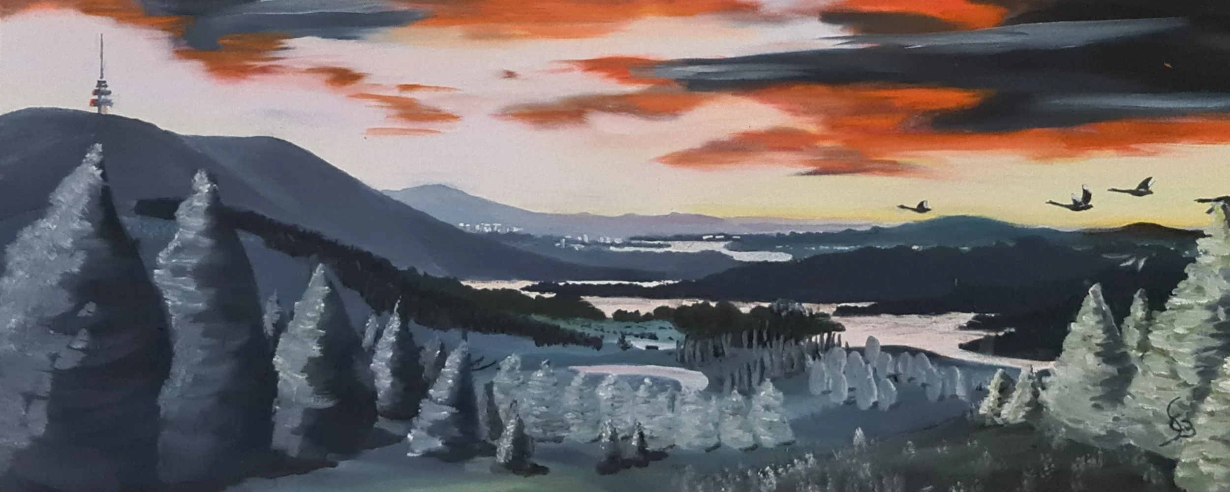 bg02.jpg