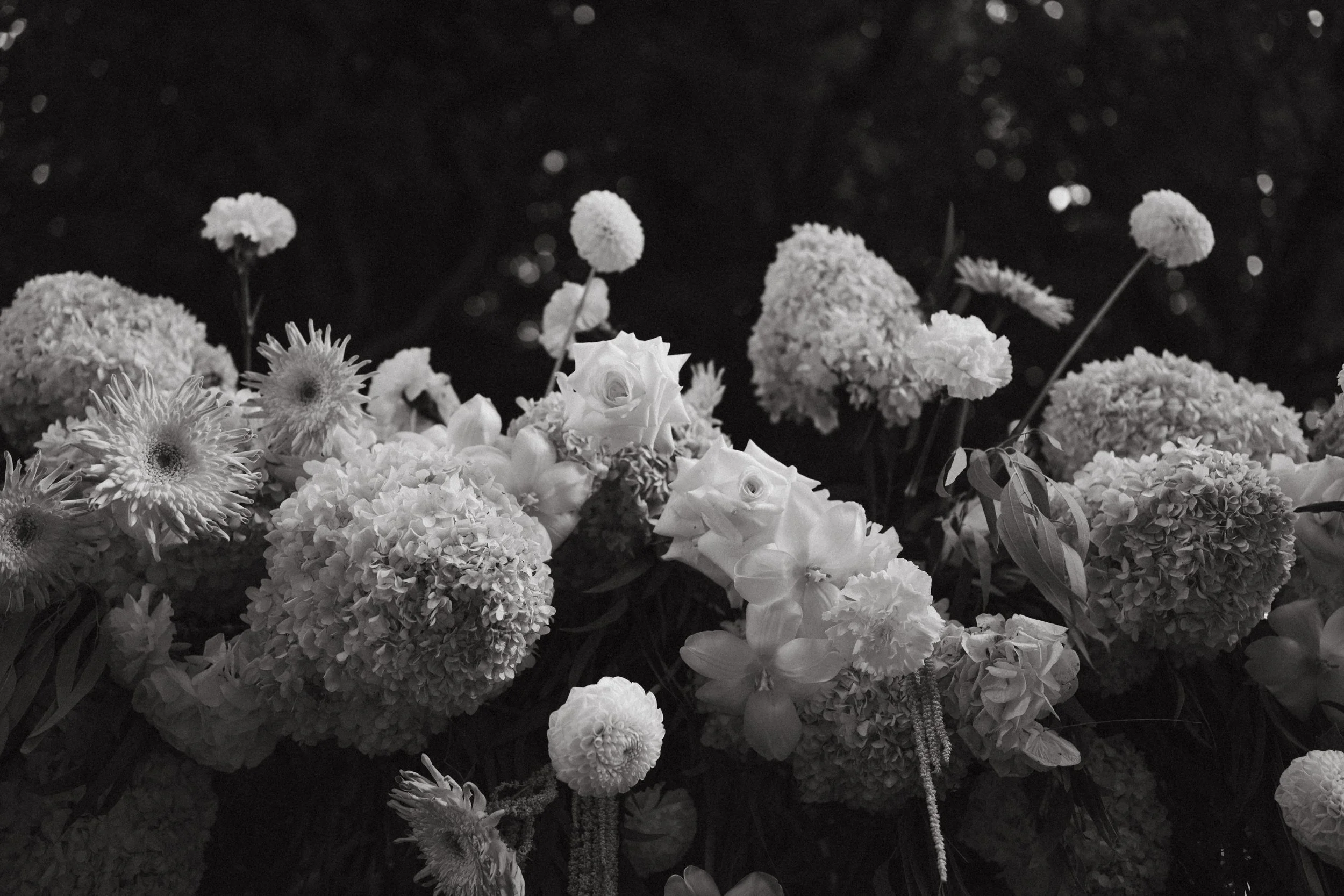 HAMSWELL HOUSE-491.jpg