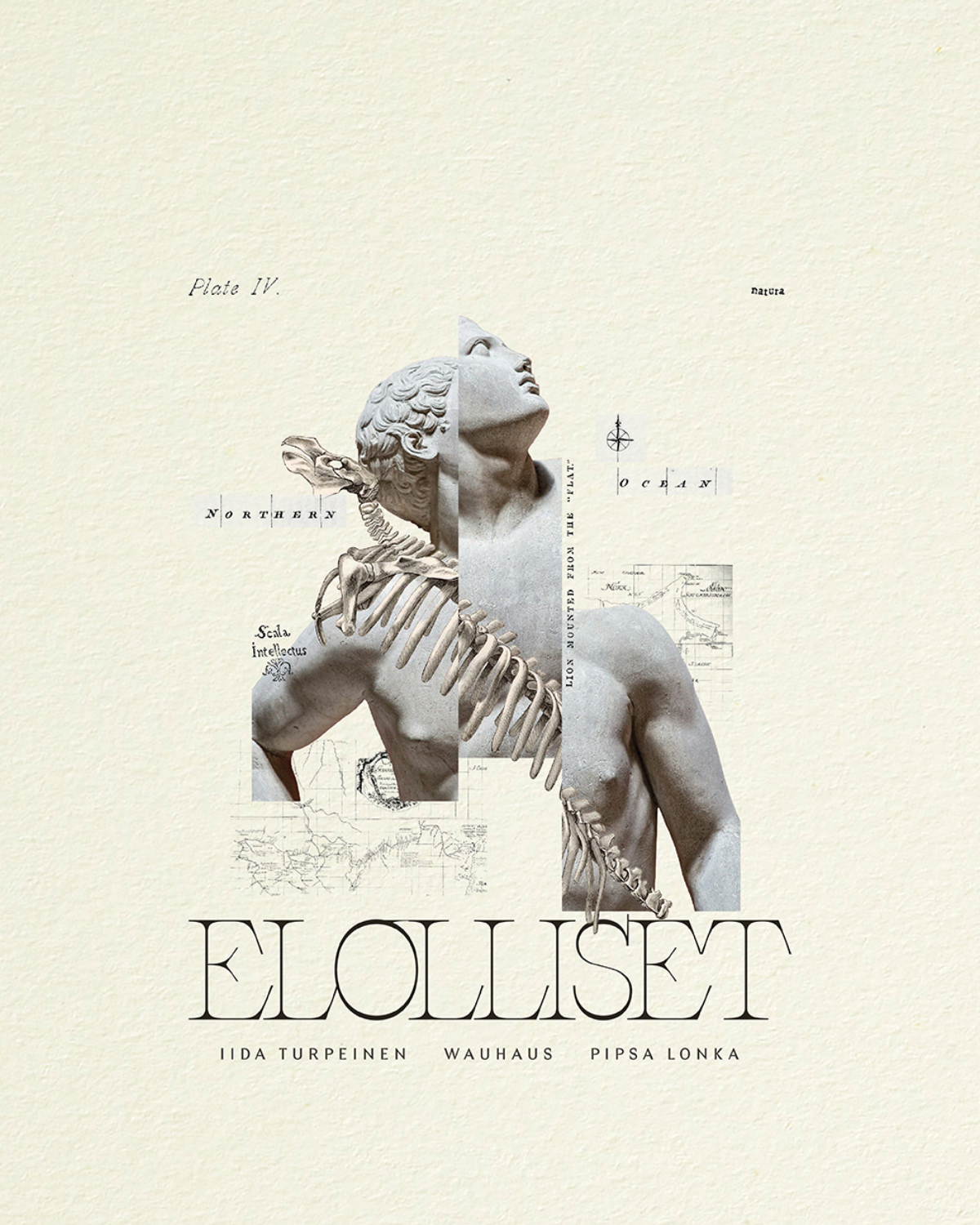 elolliset2.png
