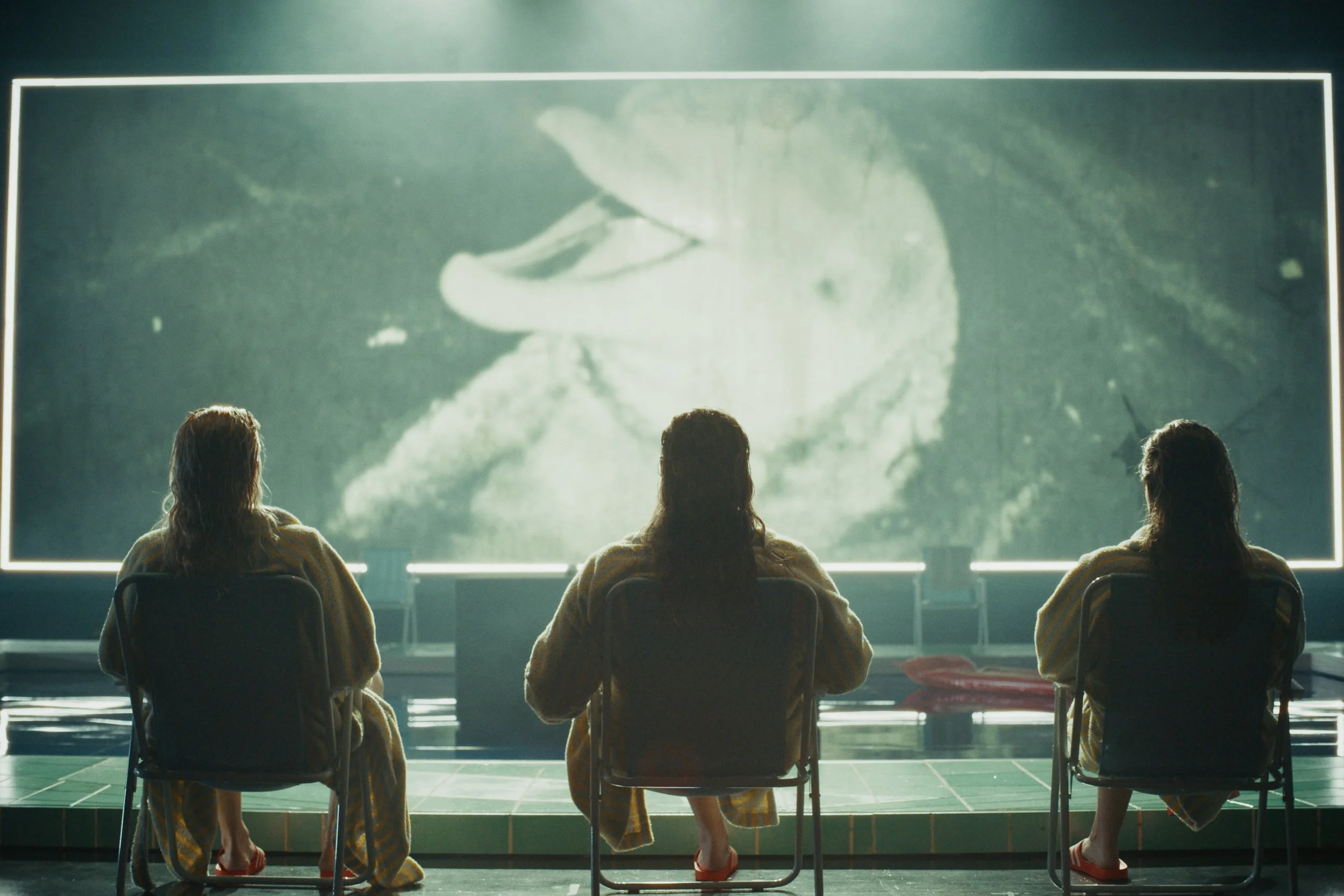 Peter Still V1 2026-01-29 164502_1.9.1.jpeg