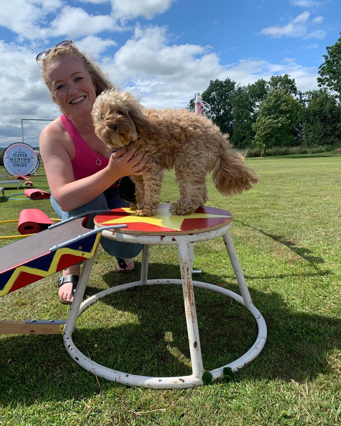 Nothing beats that &lsquo;we did it&rsquo; feeling! Come to the Circus and (re)discover the joy of learning new things with your dog 🐶 🎪#incrediblyclever #caninecircus #puttingthemagicbackintodogtraining #creatingthegreatestdogsonearth