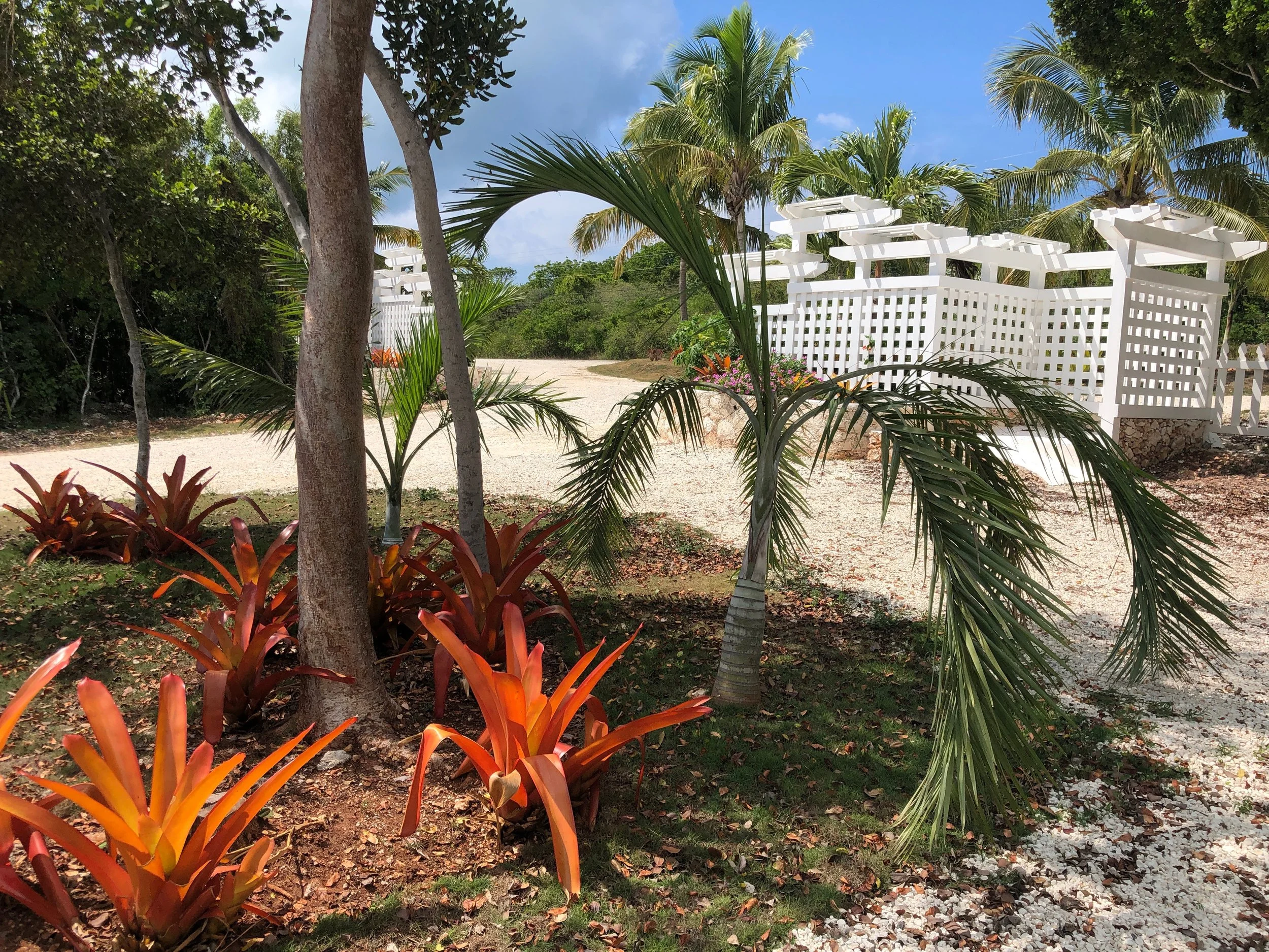 Turtle Bay Eleuthera Bahamas homes and building lots for sale. Tropical garden with small palm tree, reddish plants, and white decorative fencing in the background under a partly cloudy sky.