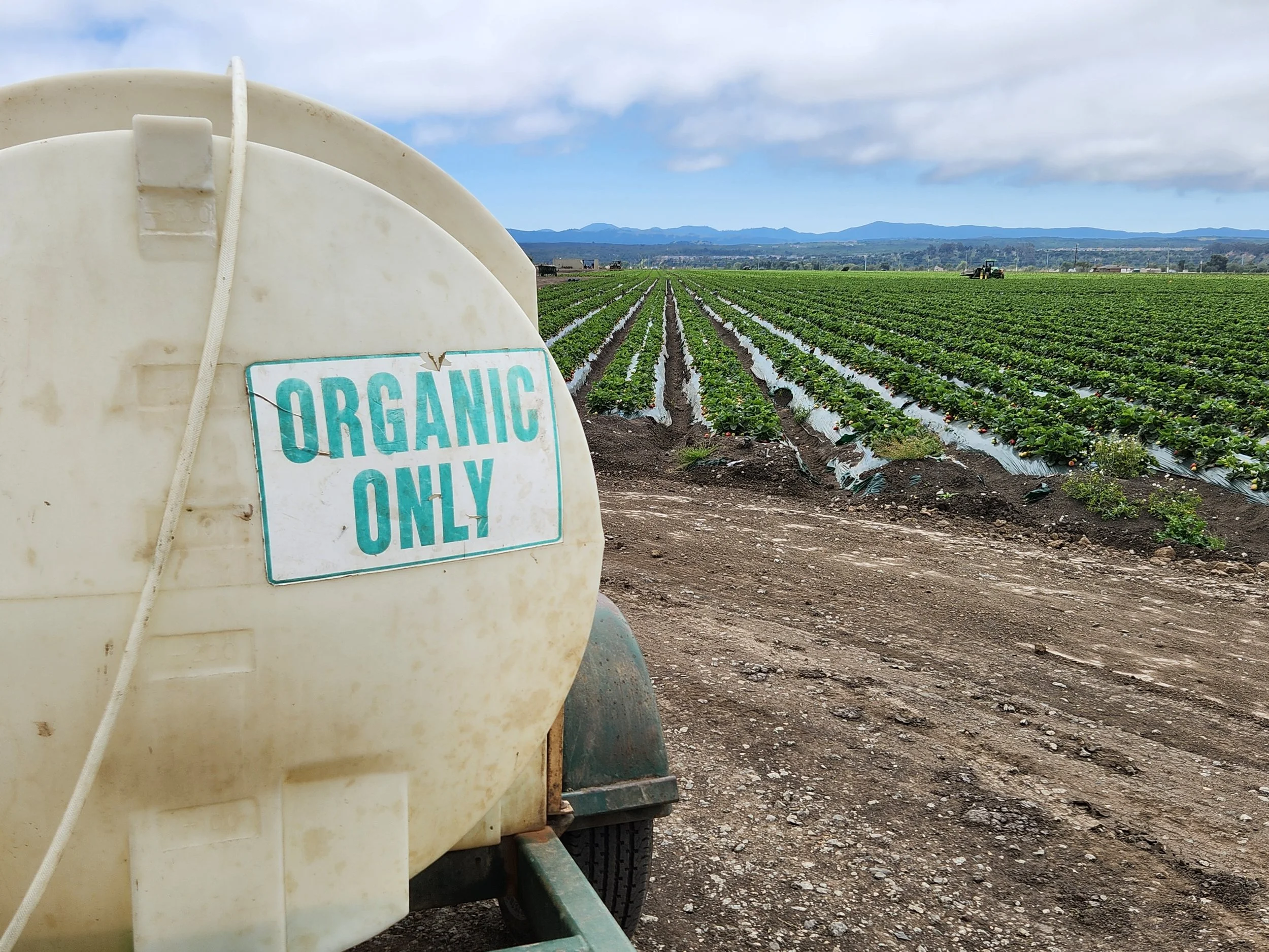 »Bio«, »Eko« i zbunjeni potrošači