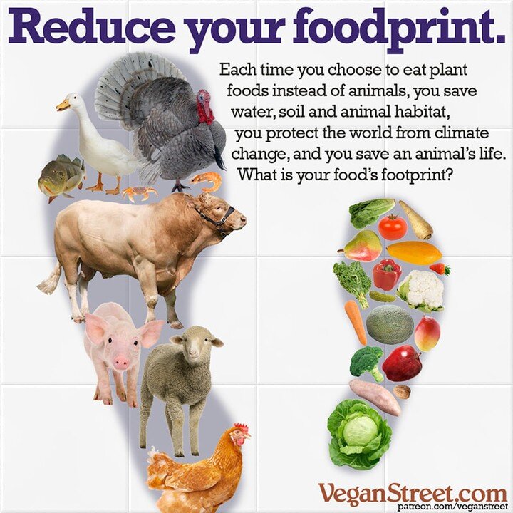 Do you know that the carbon footprint (foodprint) of eating a plant-based diet is typically 10 to 50 times smaller than that of someone who eats a largely meat-based diet? It's safe to say that switching to a primarily plant-based diet will help to r