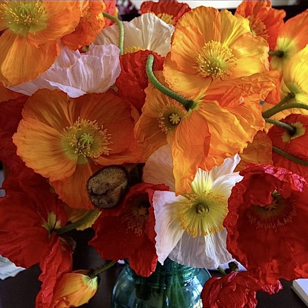 Bright & Juicy