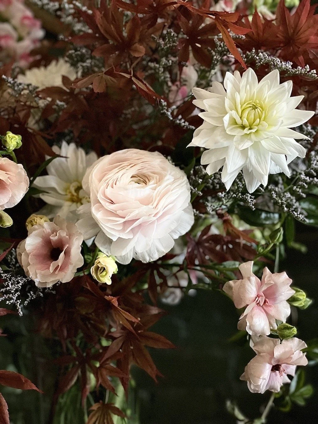A close-up of pink, white, and cream flowers with green and reddish leaves.