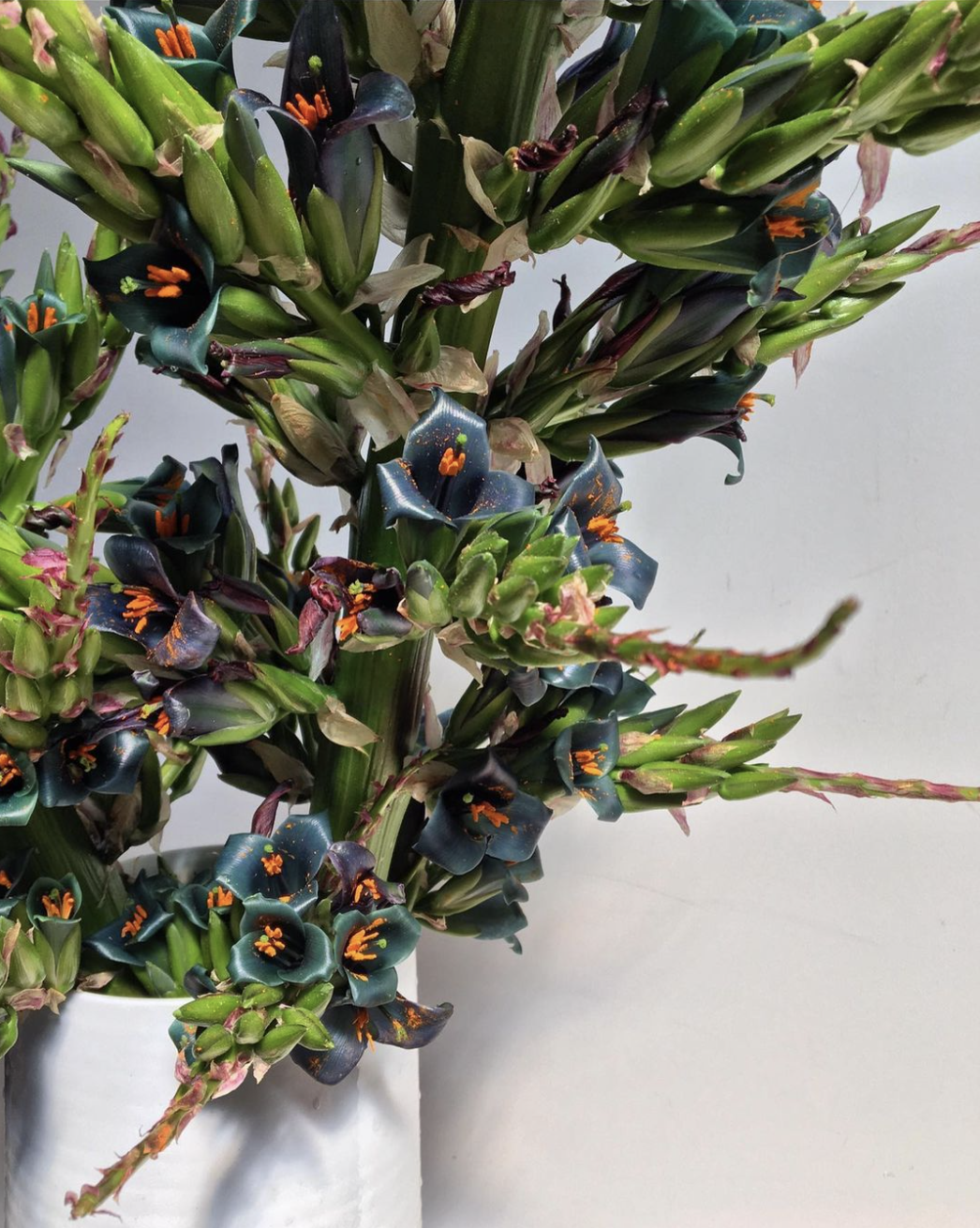 A white vase holding a bouquet of dark blue and green flowers with orange stamens, surrounded by green foliage and some pink-tipped stems, against a plain light background.