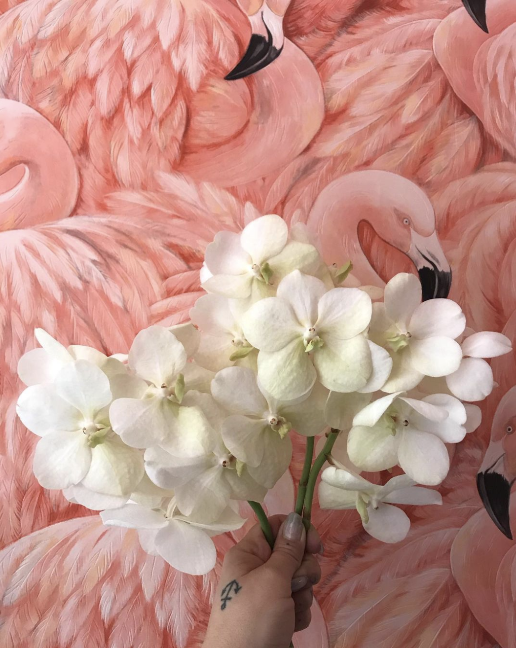 A hand holding a bunch of white hydrangea flowers in front of a pink flamingo-themed wall mural.