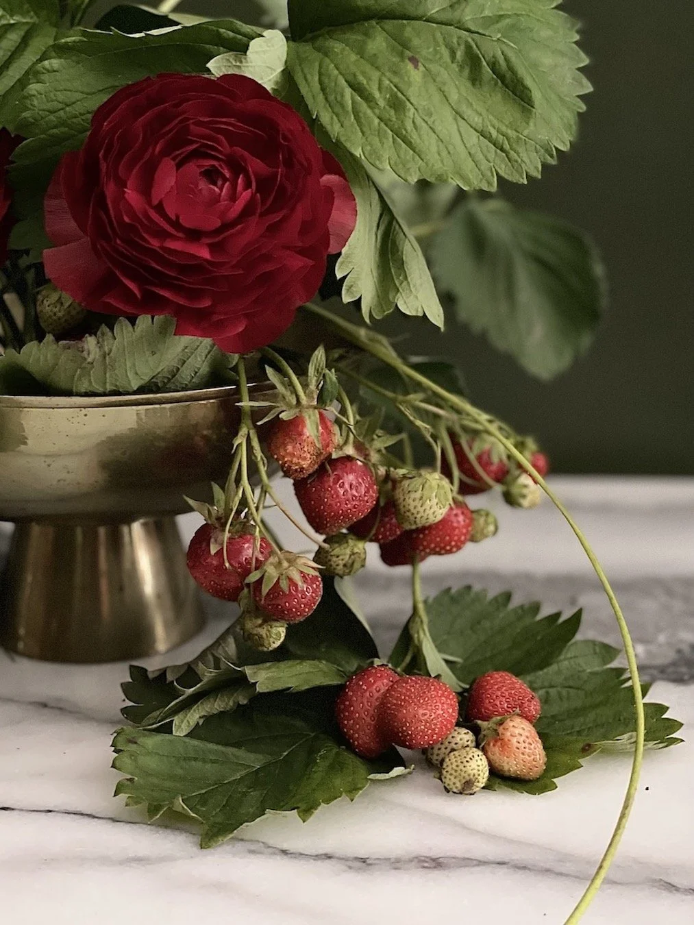 Close-up of a bouquet with a deep red ranunculus flower, green leaves, and strawberries, some of which are ripe and red, while others are unripe and white, arranged on a white marble surface.