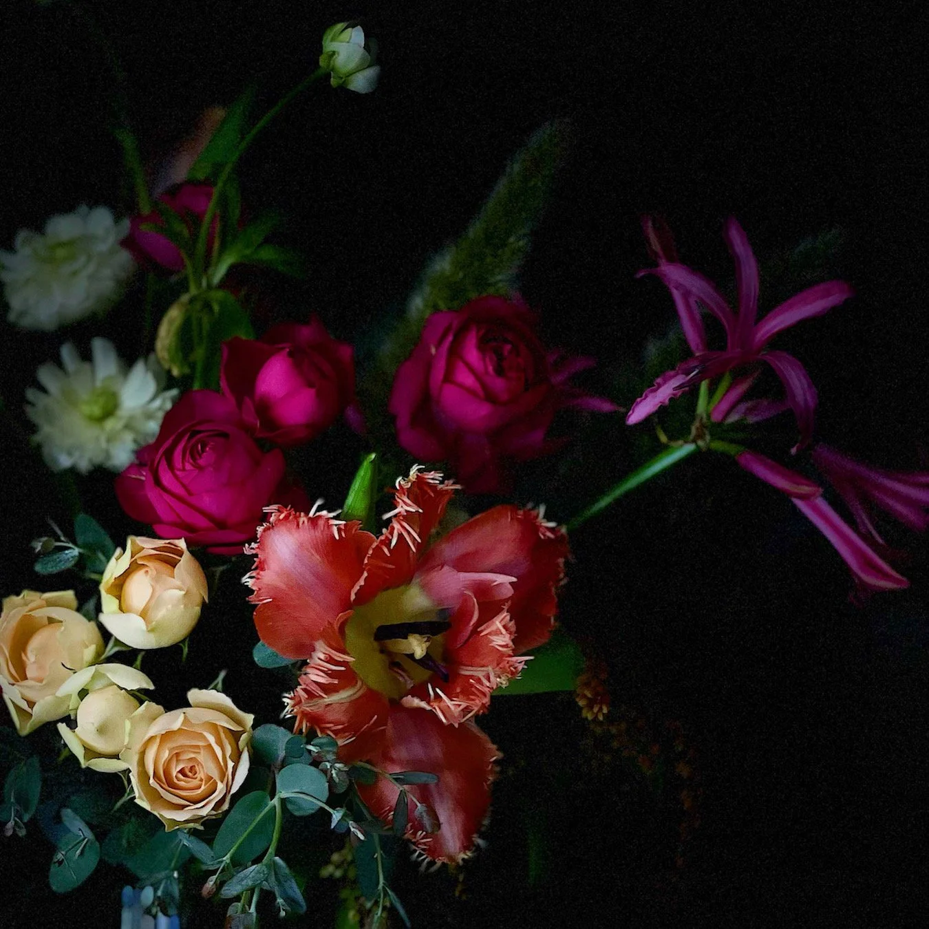 A dark background with a colorful assortment of flowers, including pink roses, white flowers, a peach rose, a fringed red-orange flower, and a purple flower, all with green leaves.