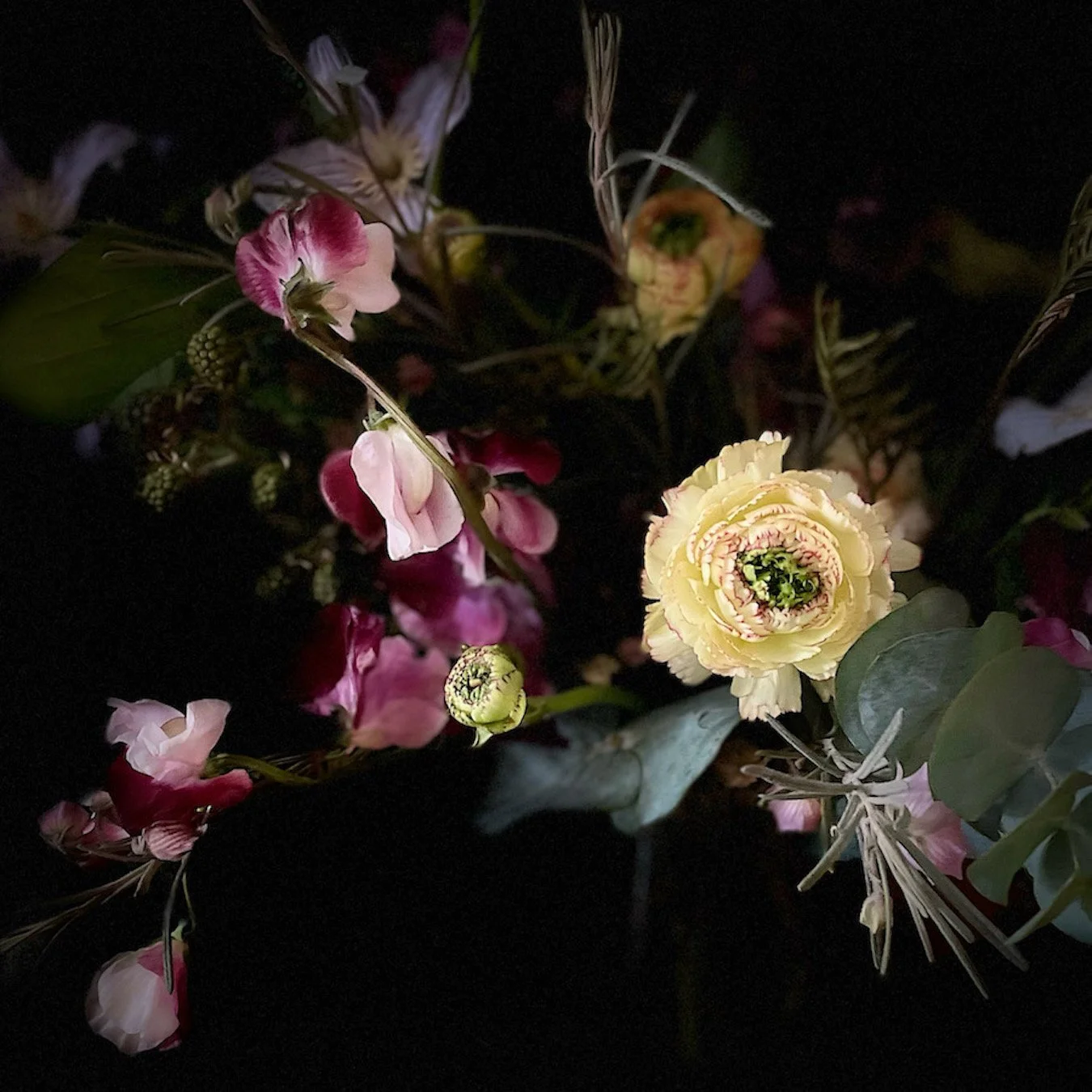 Close-up of pink, purple, and yellow flowers with green leaves set against a dark background.