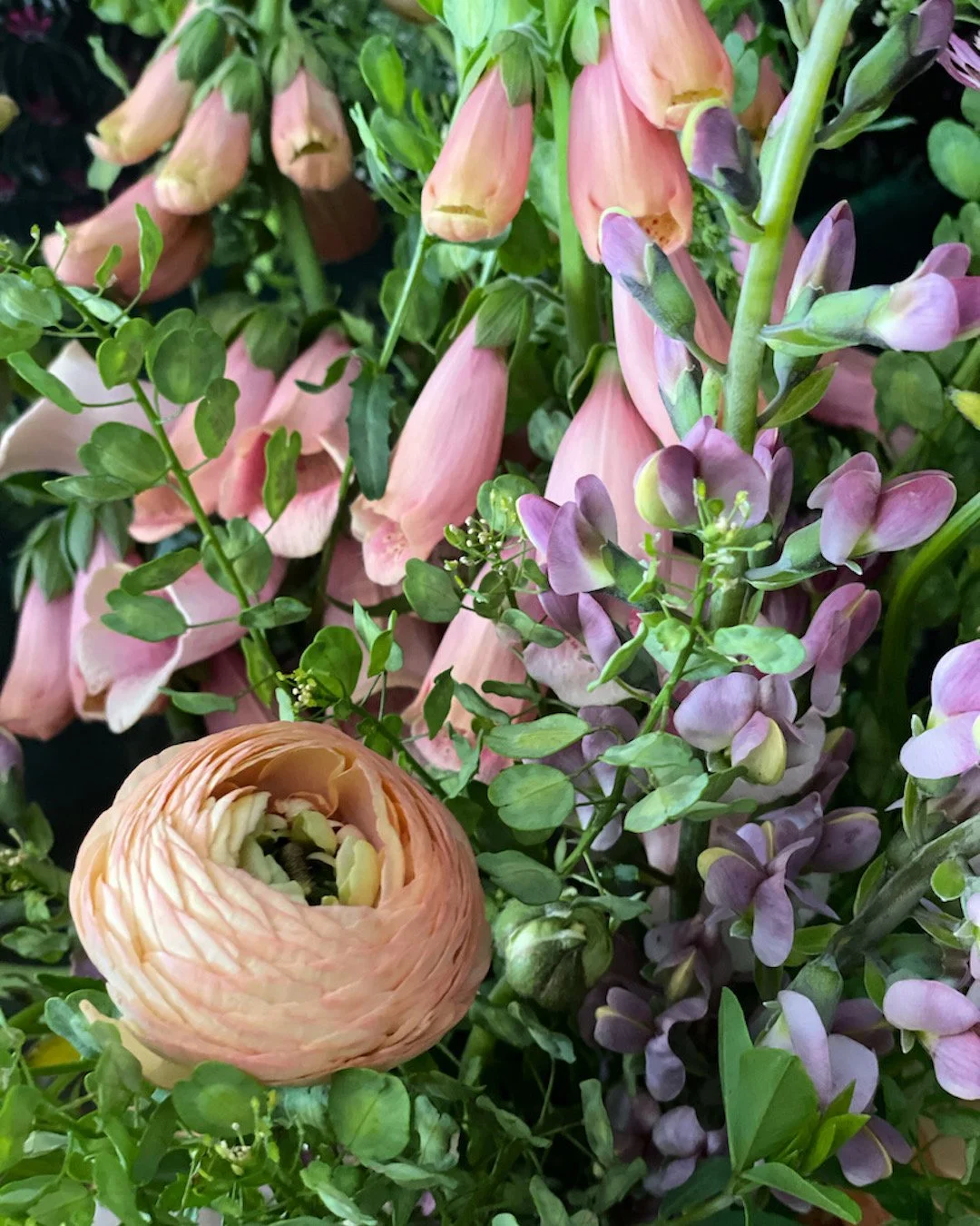 Close-up of pink and purple flowers among green leaves.
