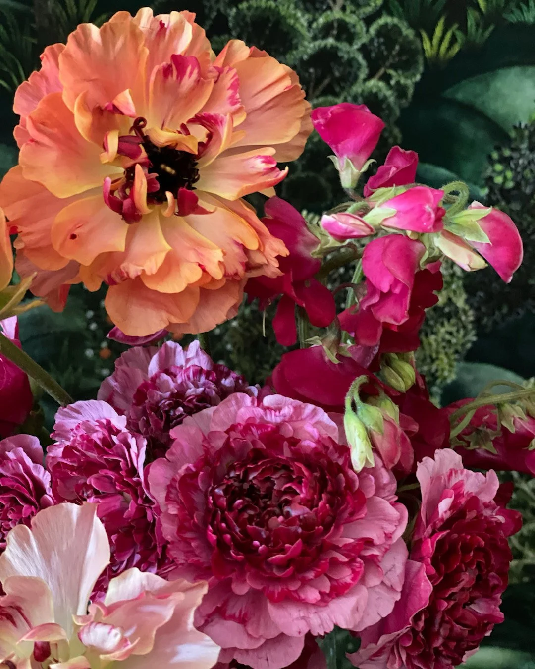 Close-up of various colorful flowers, including pink, peach, and red blooms, surrounded by green foliage.