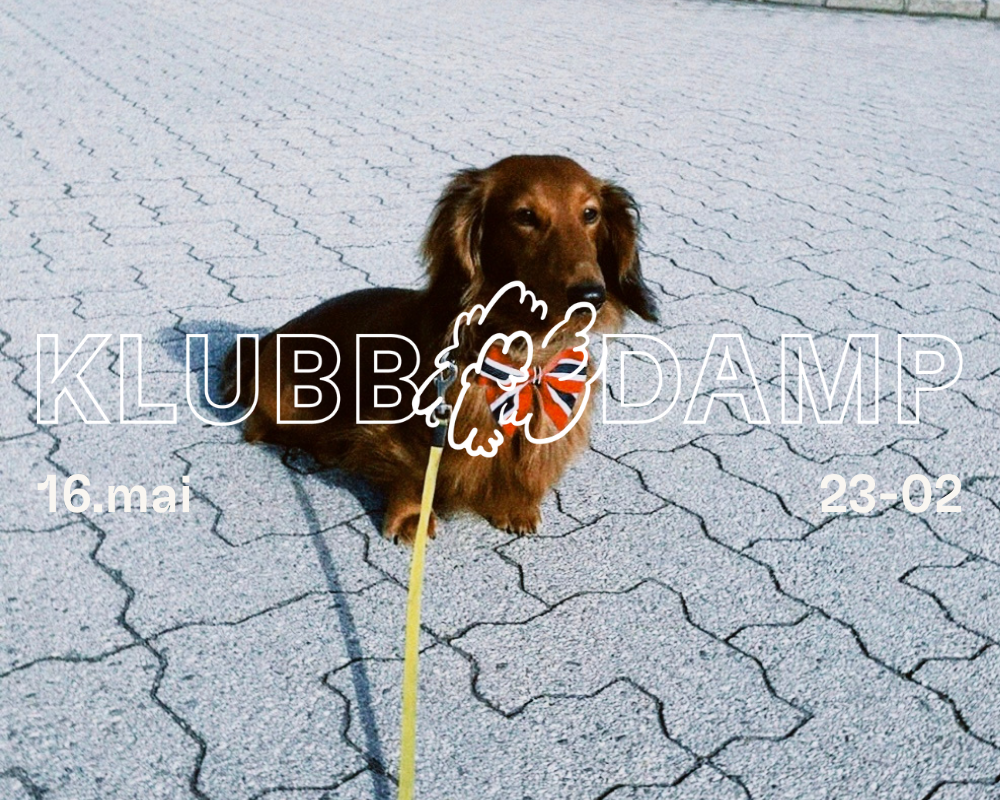 KLUBB DAMP // 16.mai