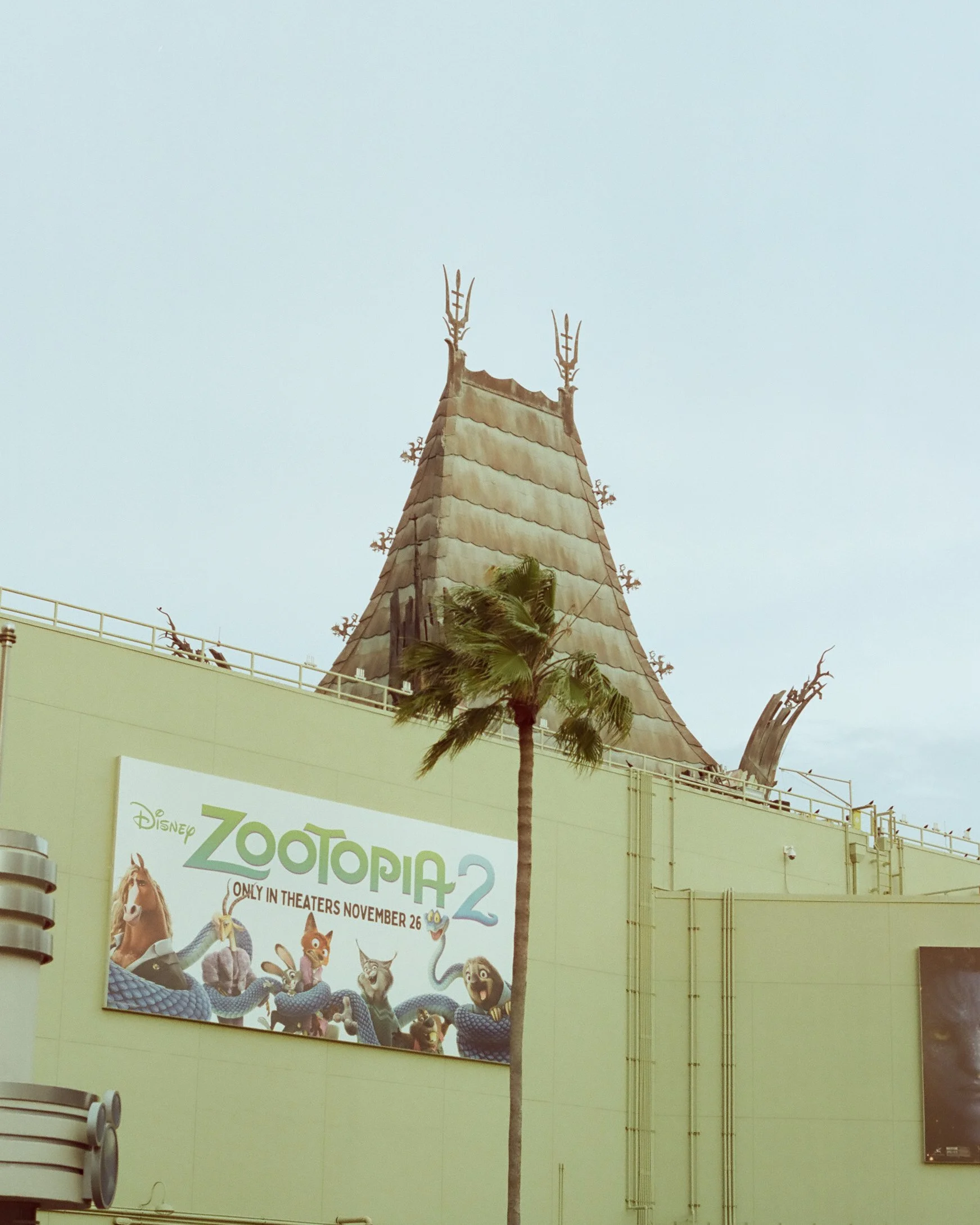 Disney Film Feb 26 Crop-32.jpg