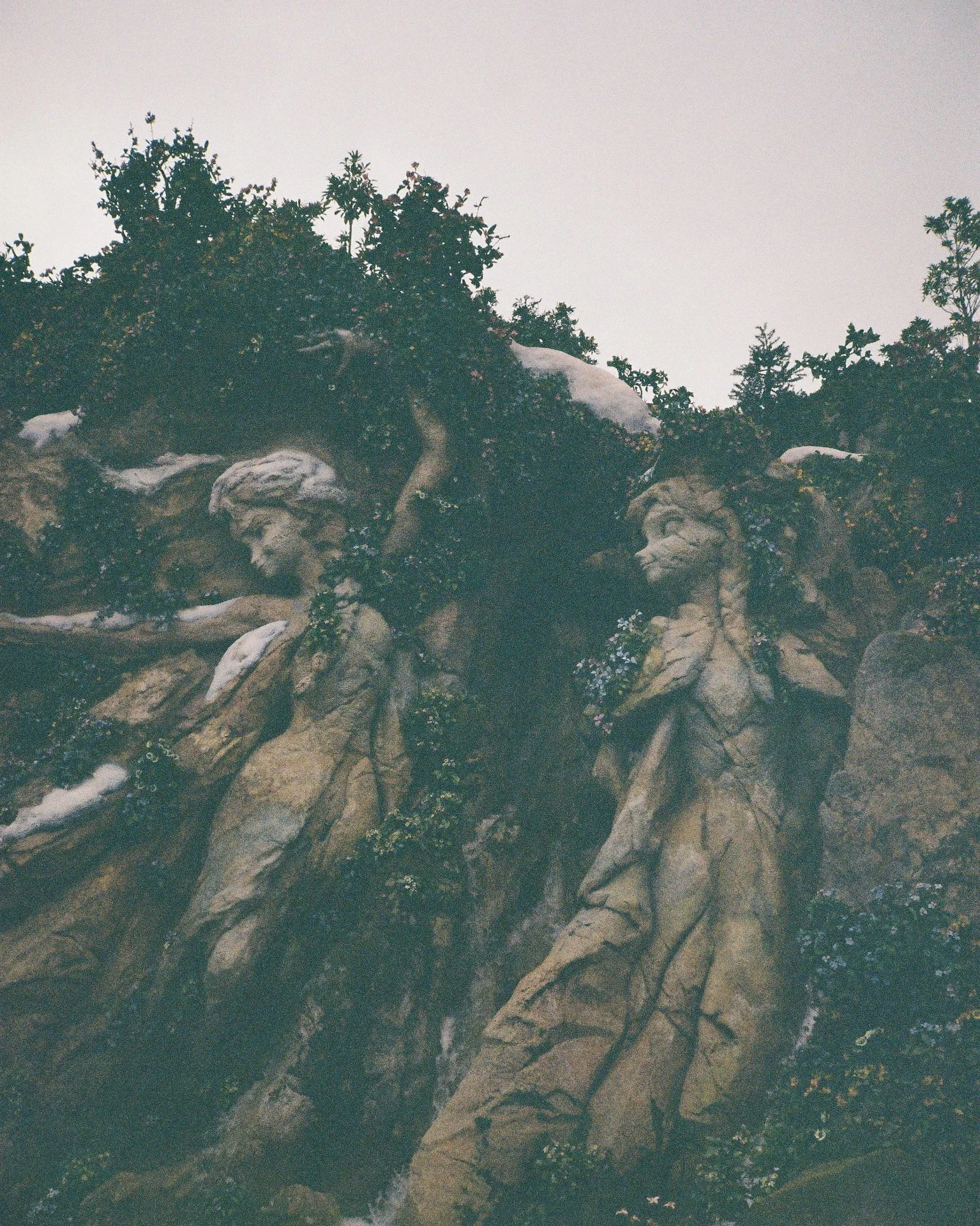Japan Film Crops-261.jpg