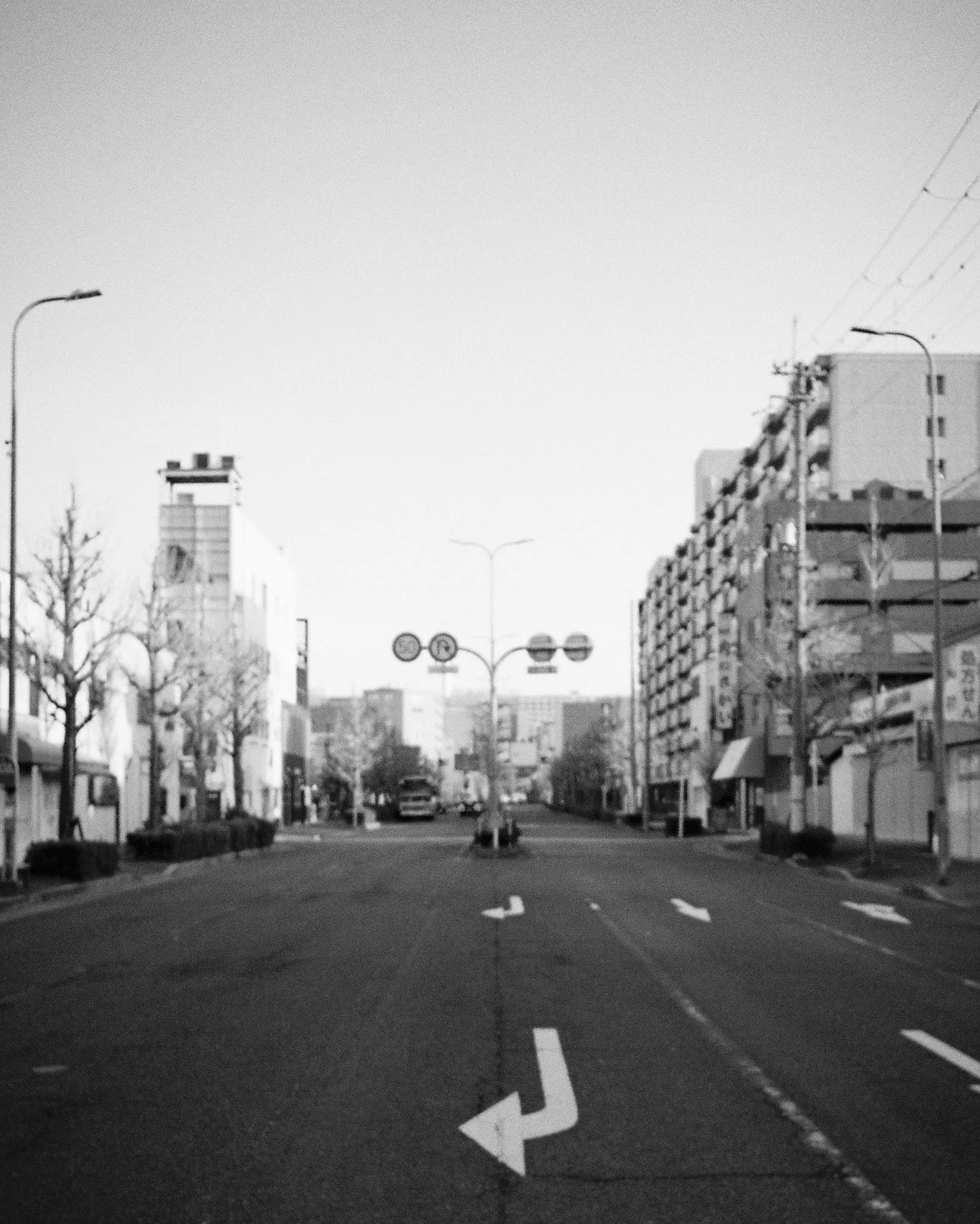 Japan Film Crops-178.jpg