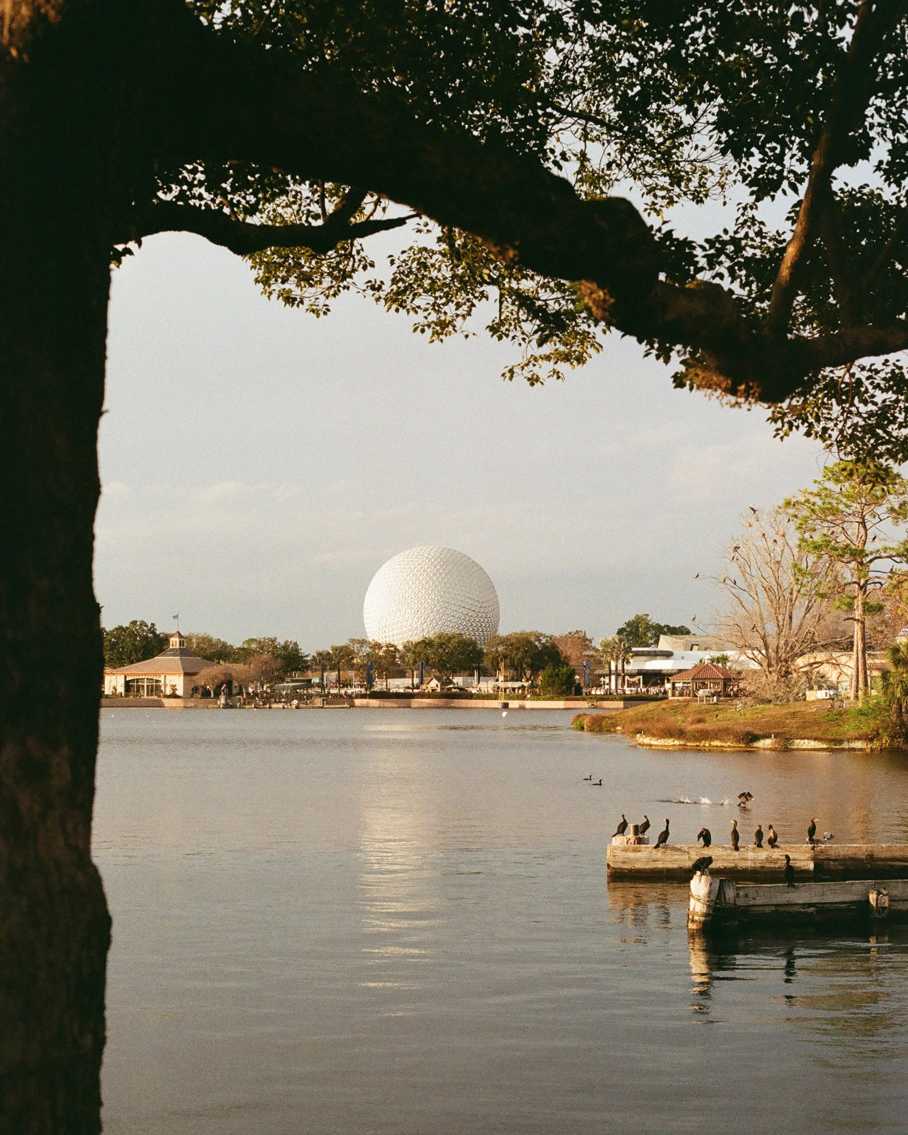 Disney Film Feb 26 Crop-24.jpg