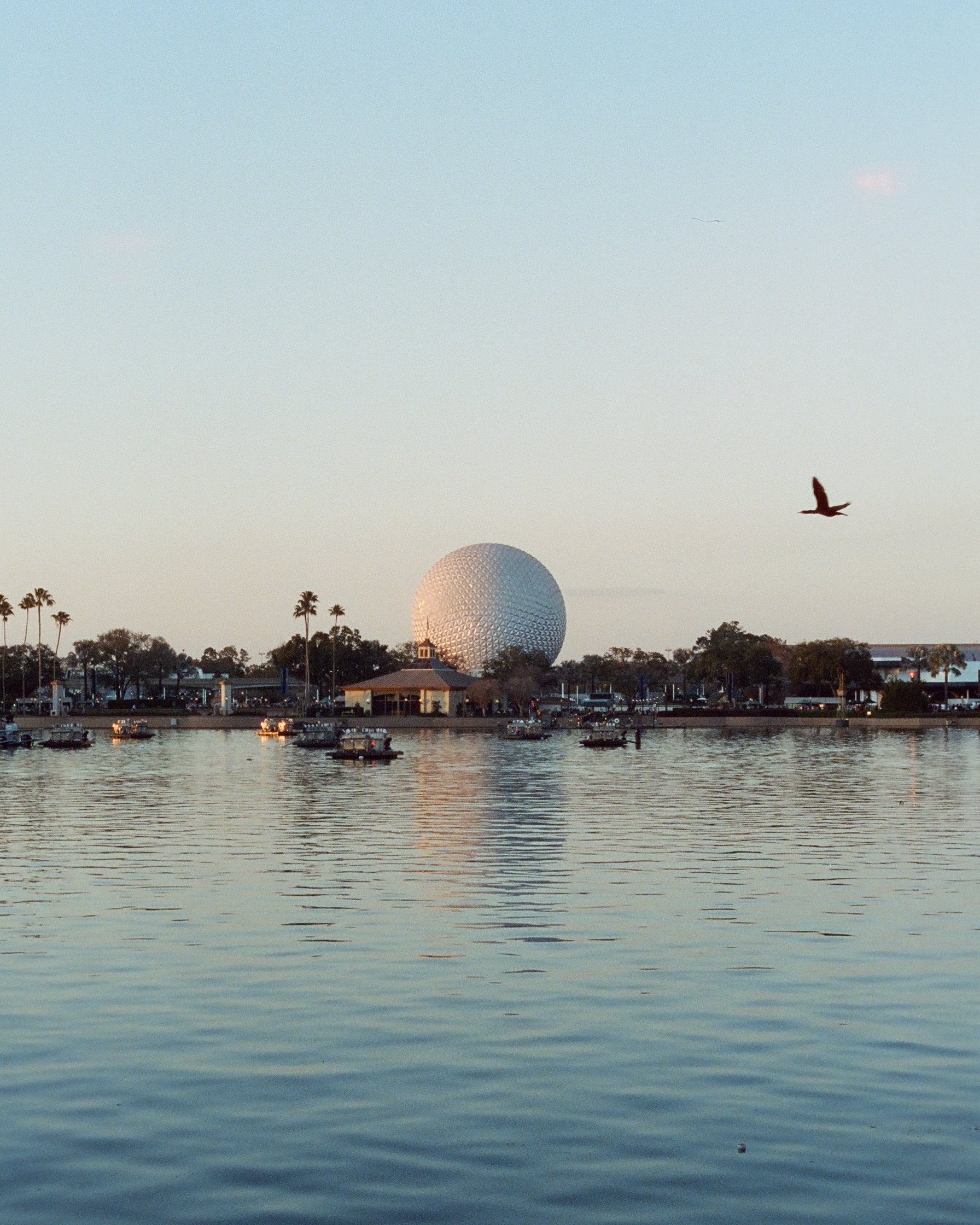 Disney Film Feb 26 Crop-64.jpg