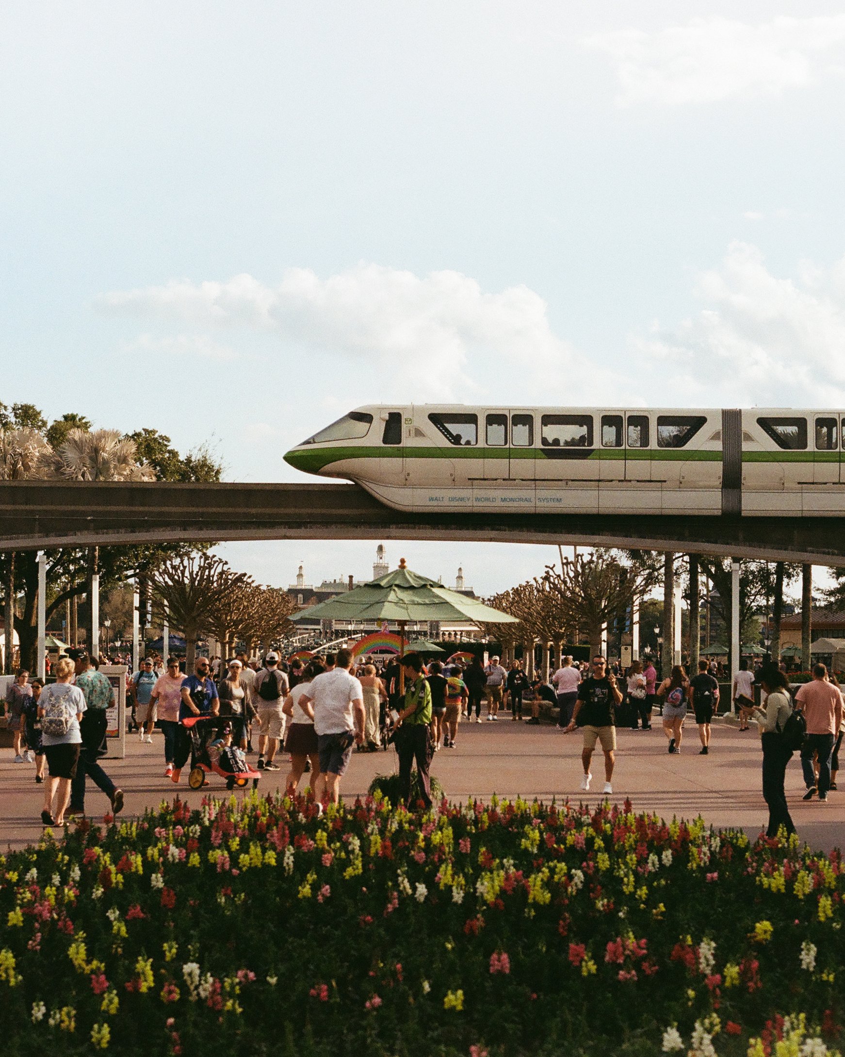 Disney Film Feb 26 Crop-15.jpg