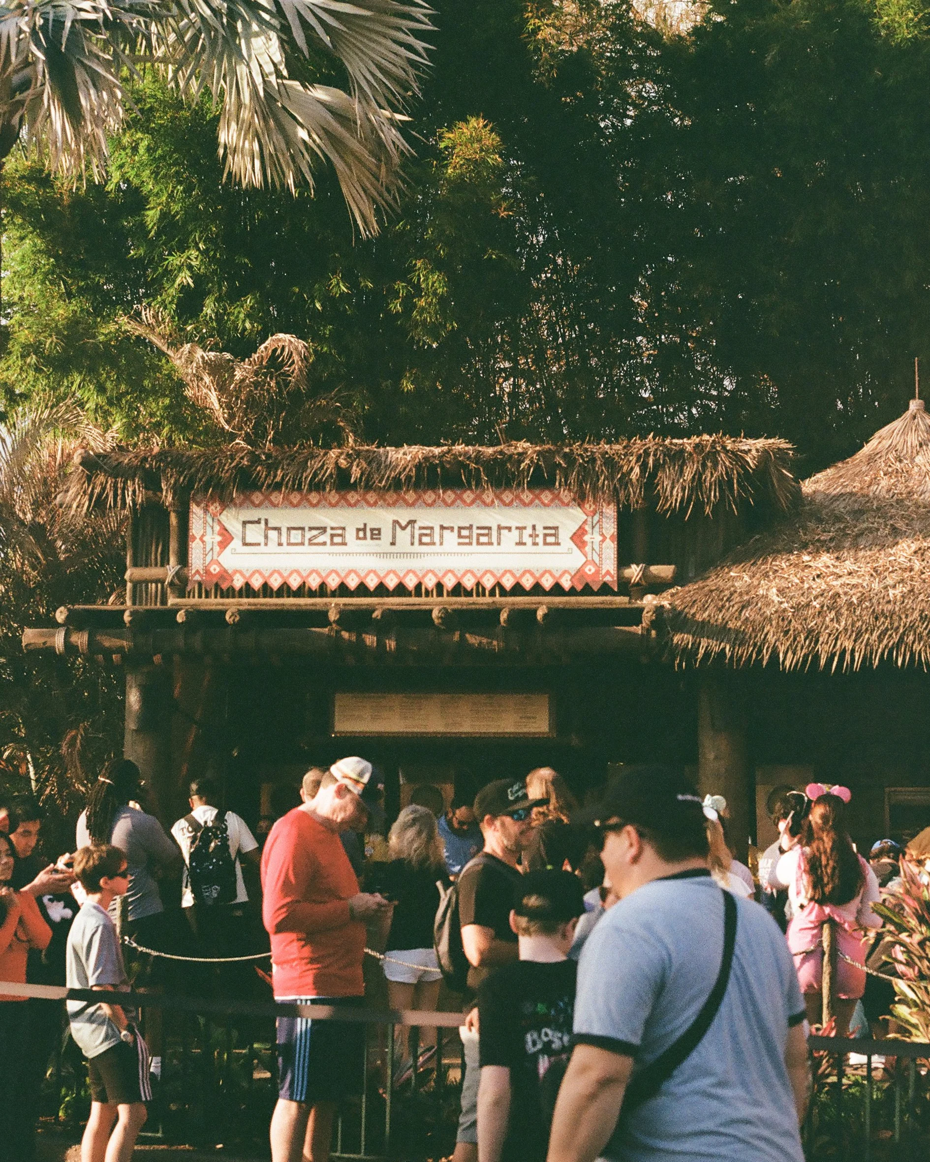 Disney Film Feb 26 Crop-18.jpg
