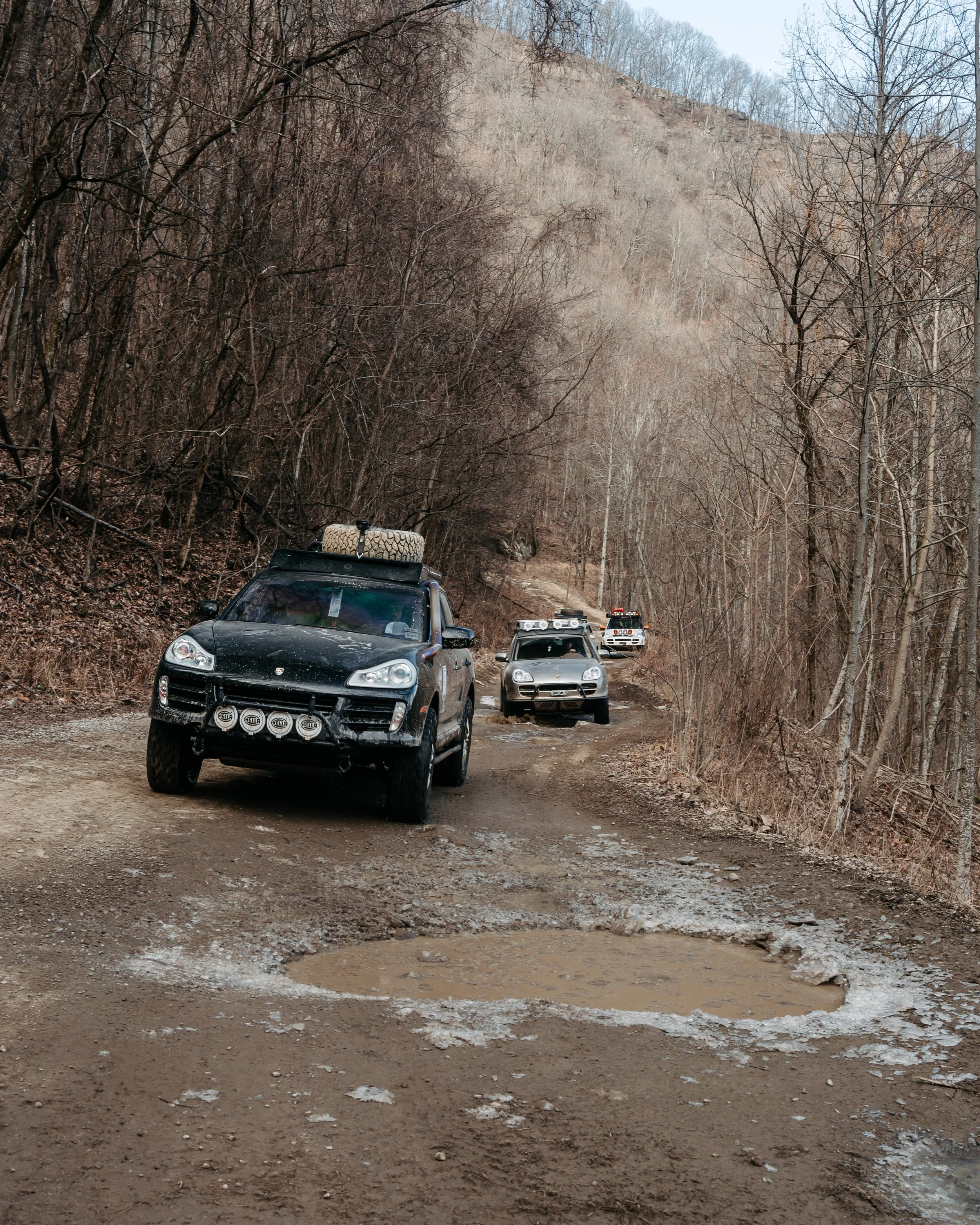 WWW 2026 380-268.jpg