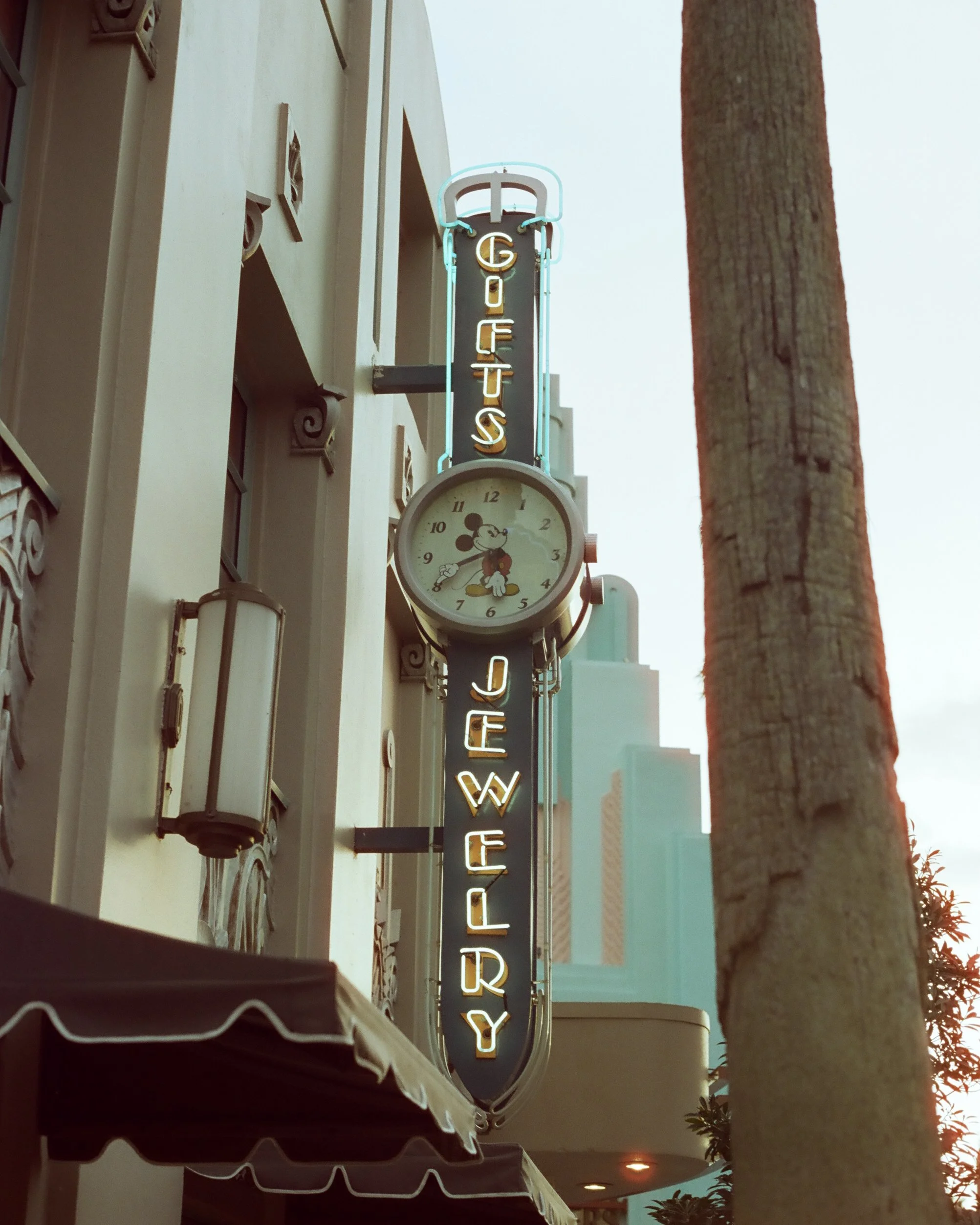 Disney Film Feb 26 Crop-38.jpg
