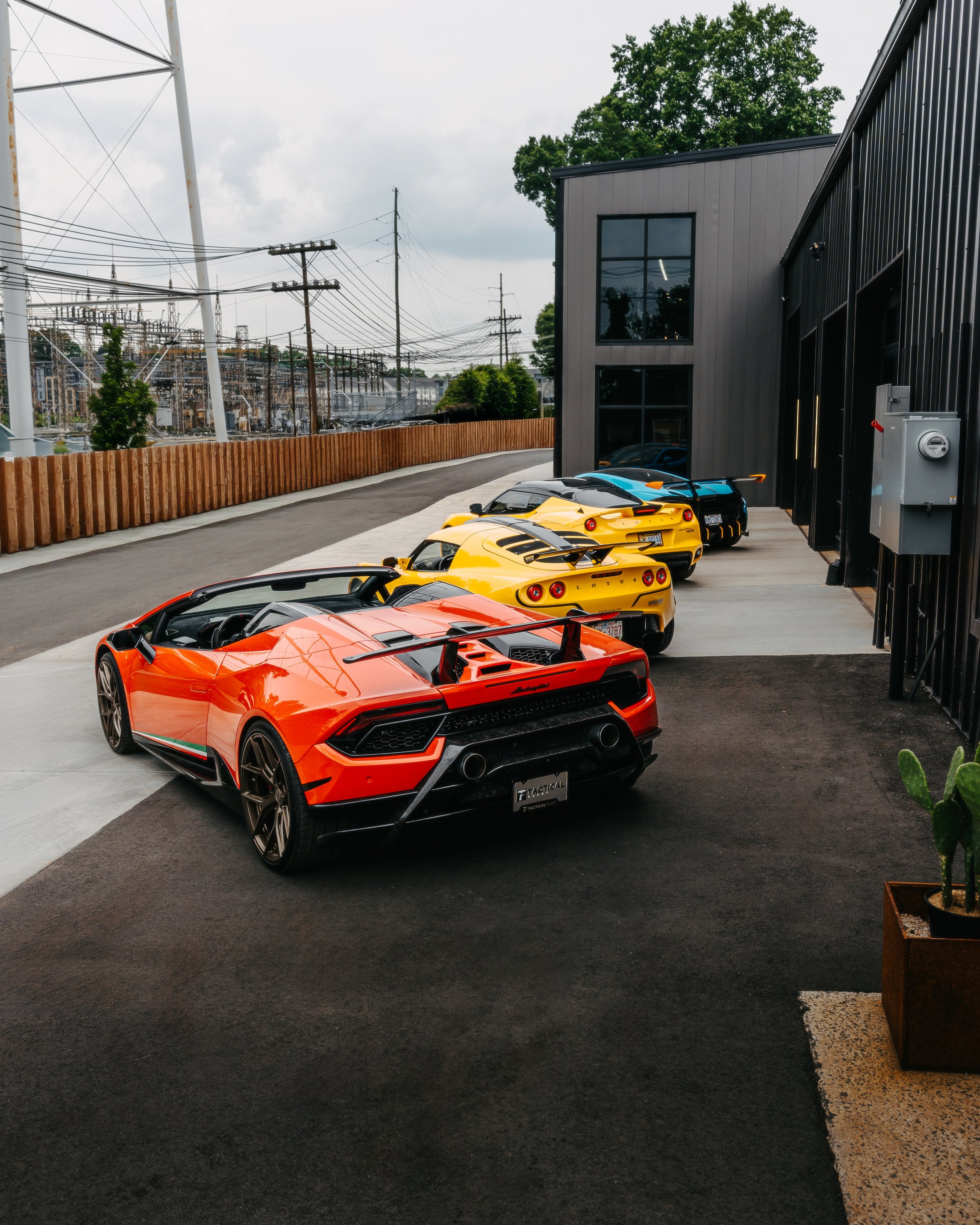 June Exotics redo for me-24.jpg