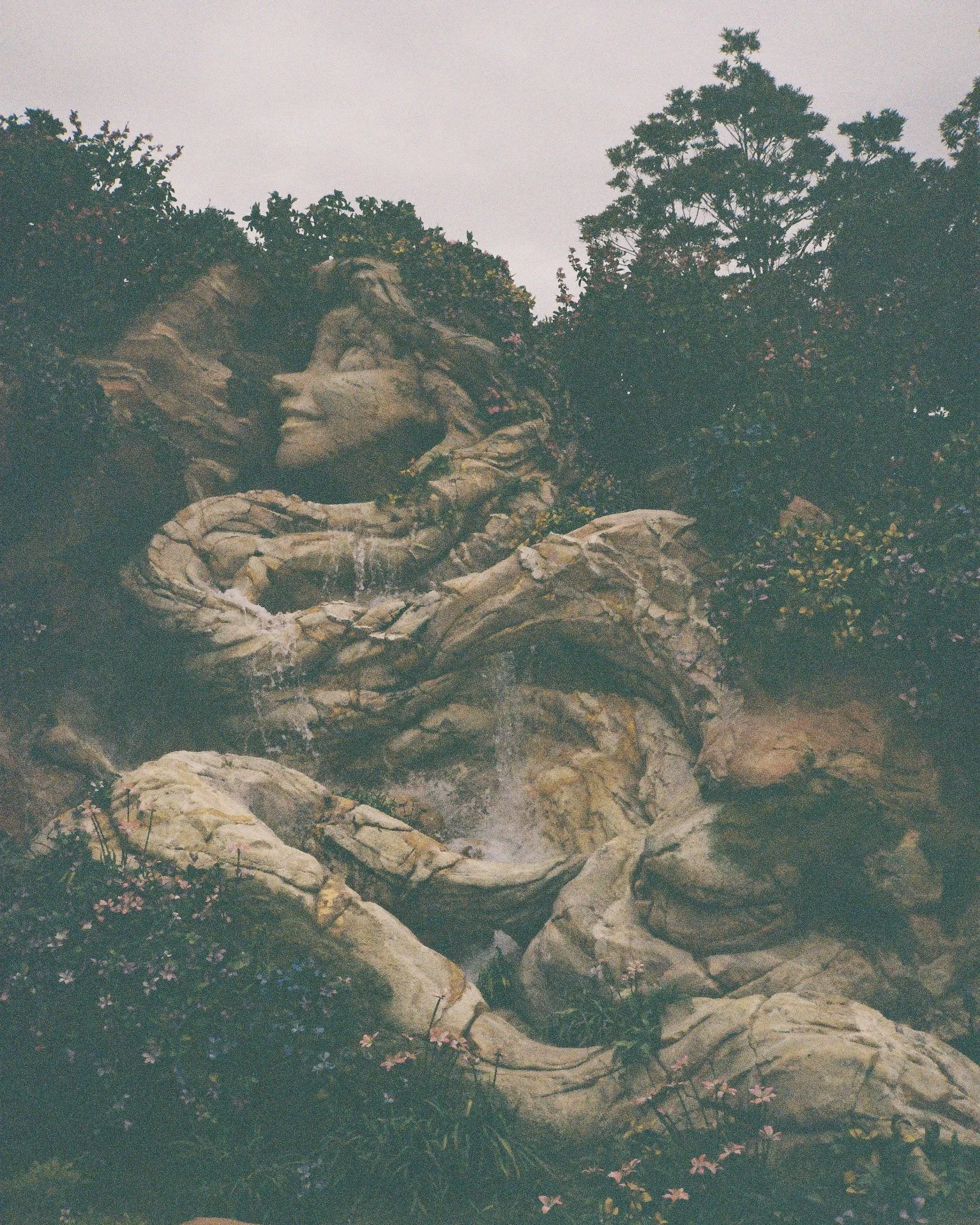 Japan Film Crops-264.jpg