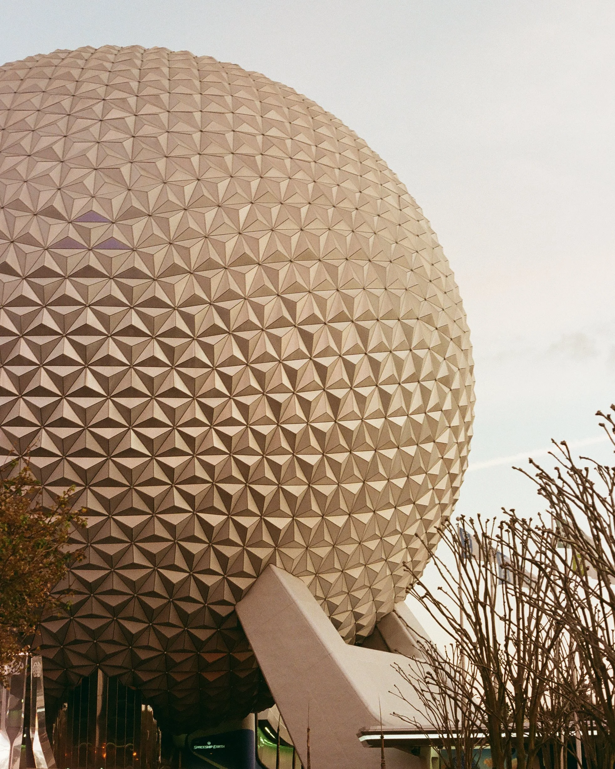 Disney Film Feb 26 Crop-83.jpg