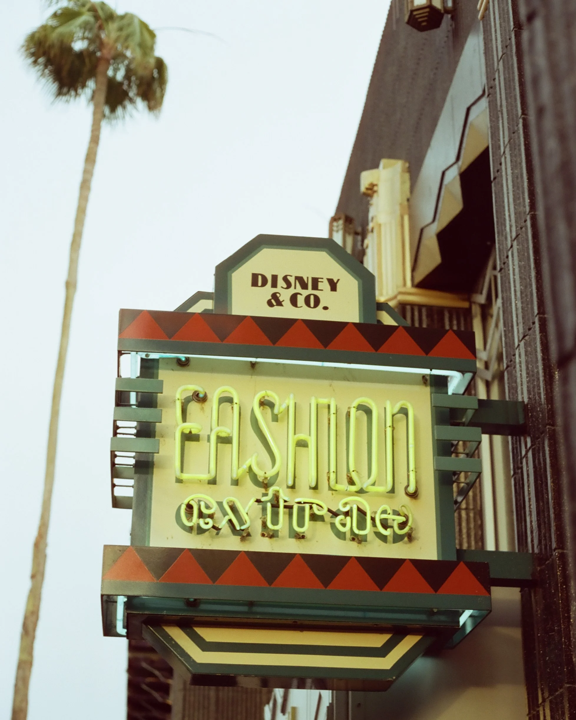 Disney Film Feb 26 Crop-37.jpg
