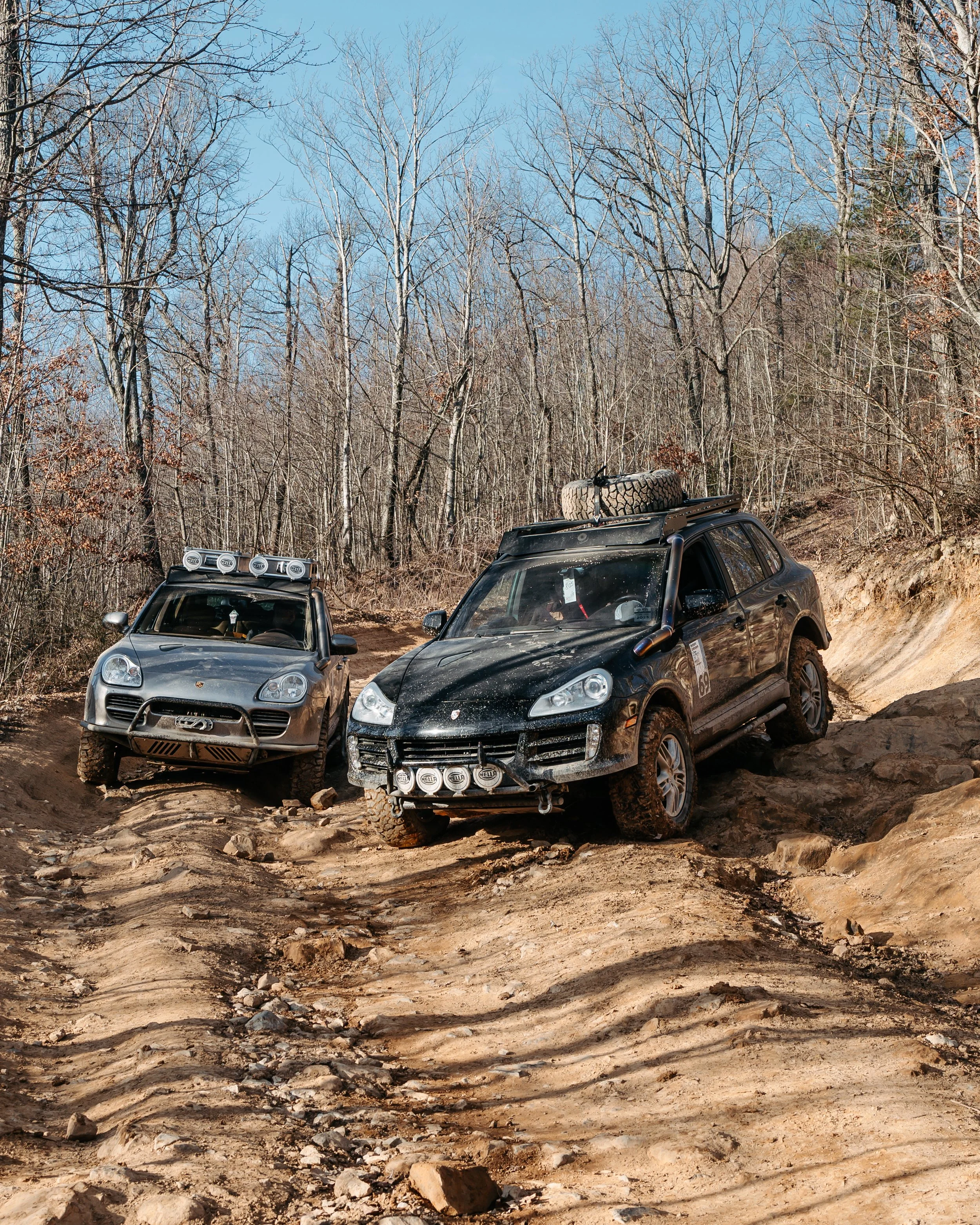 WWW 2026 380-510.jpg