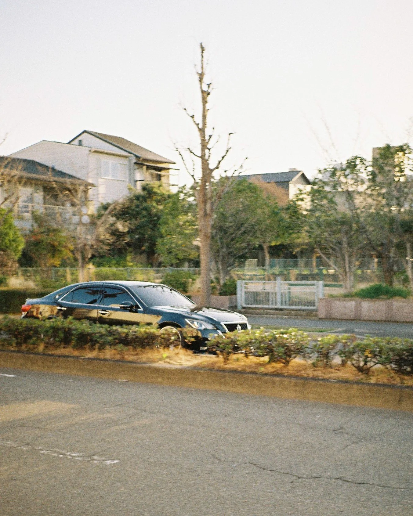 Japan Film Crops-172.jpg