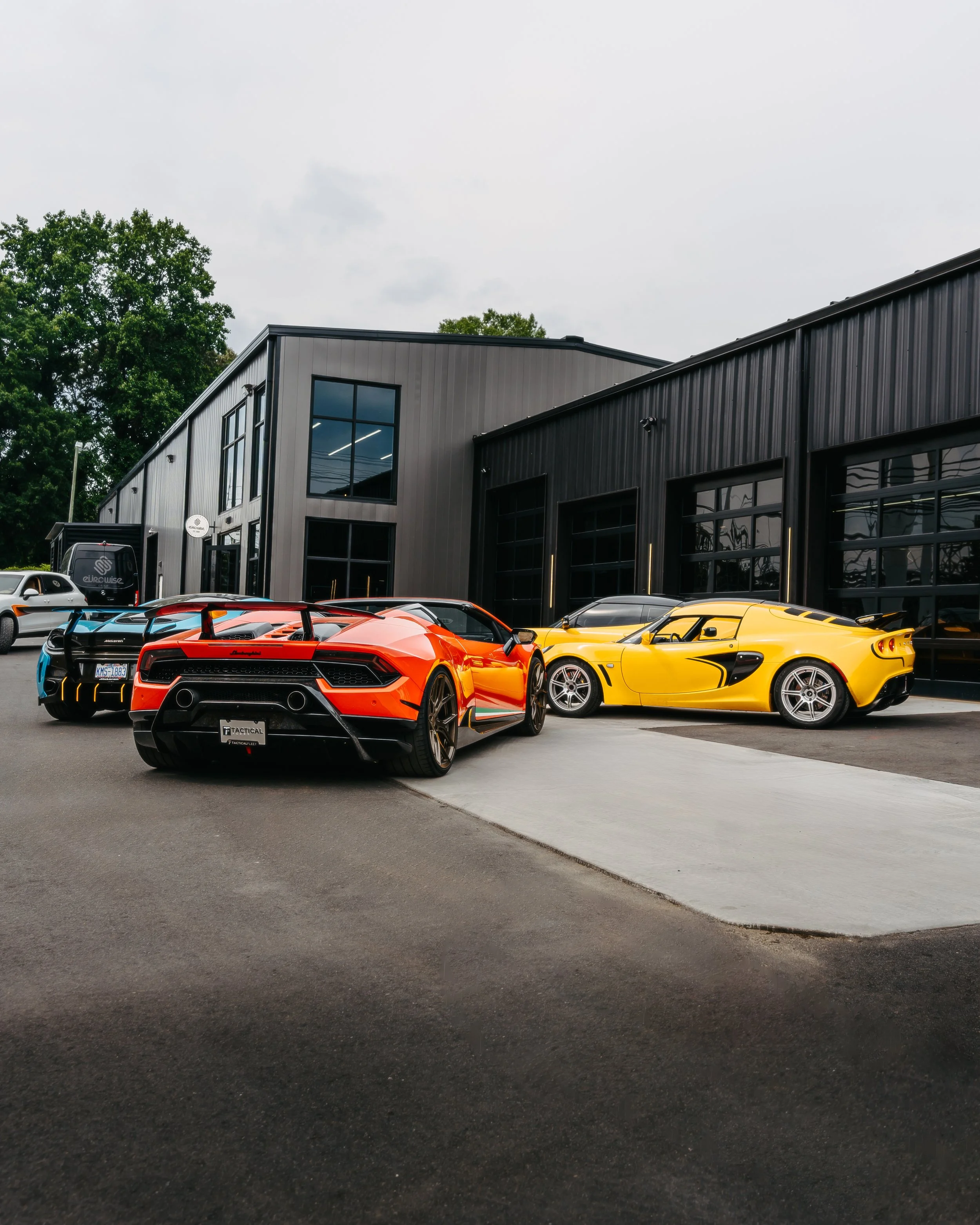June Exotics redo for me-18.jpg