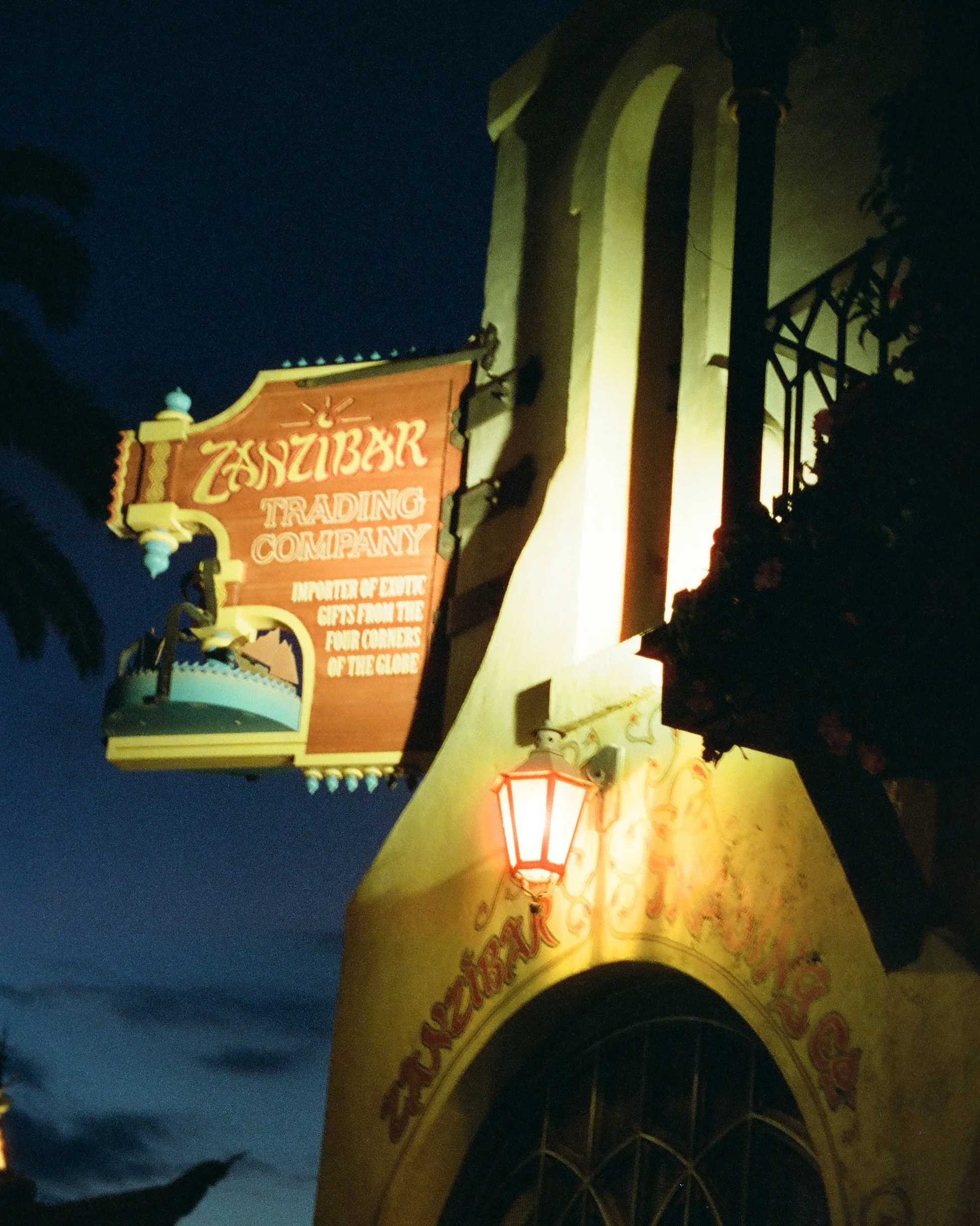 Disney Film Feb 26 Crop-58.jpg
