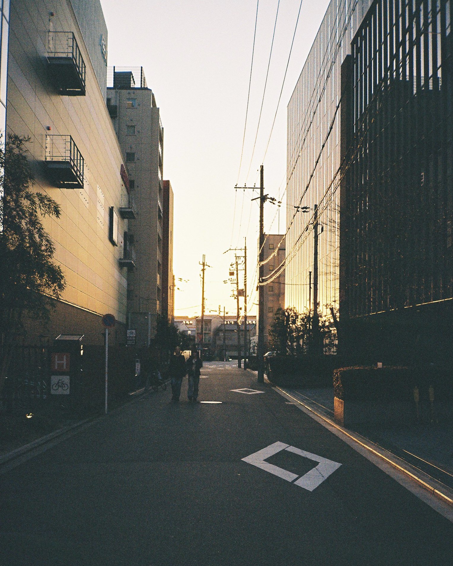 Japan Film Crops-192.jpg