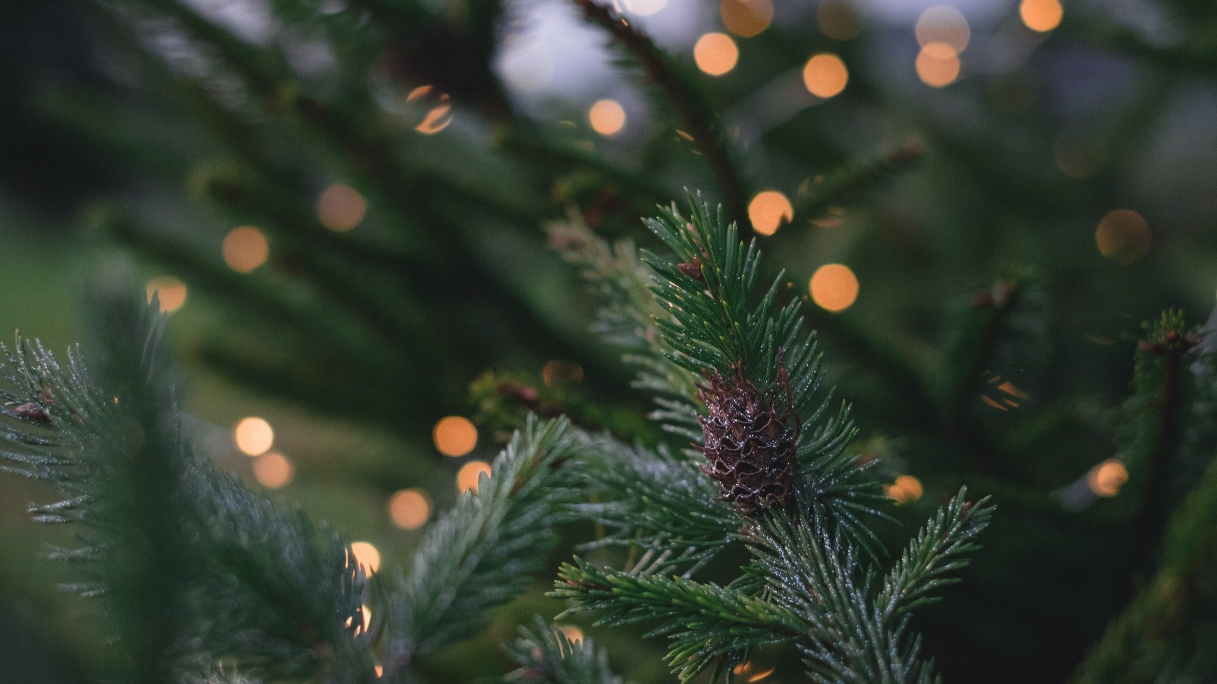 How to deal with stress during the holidays