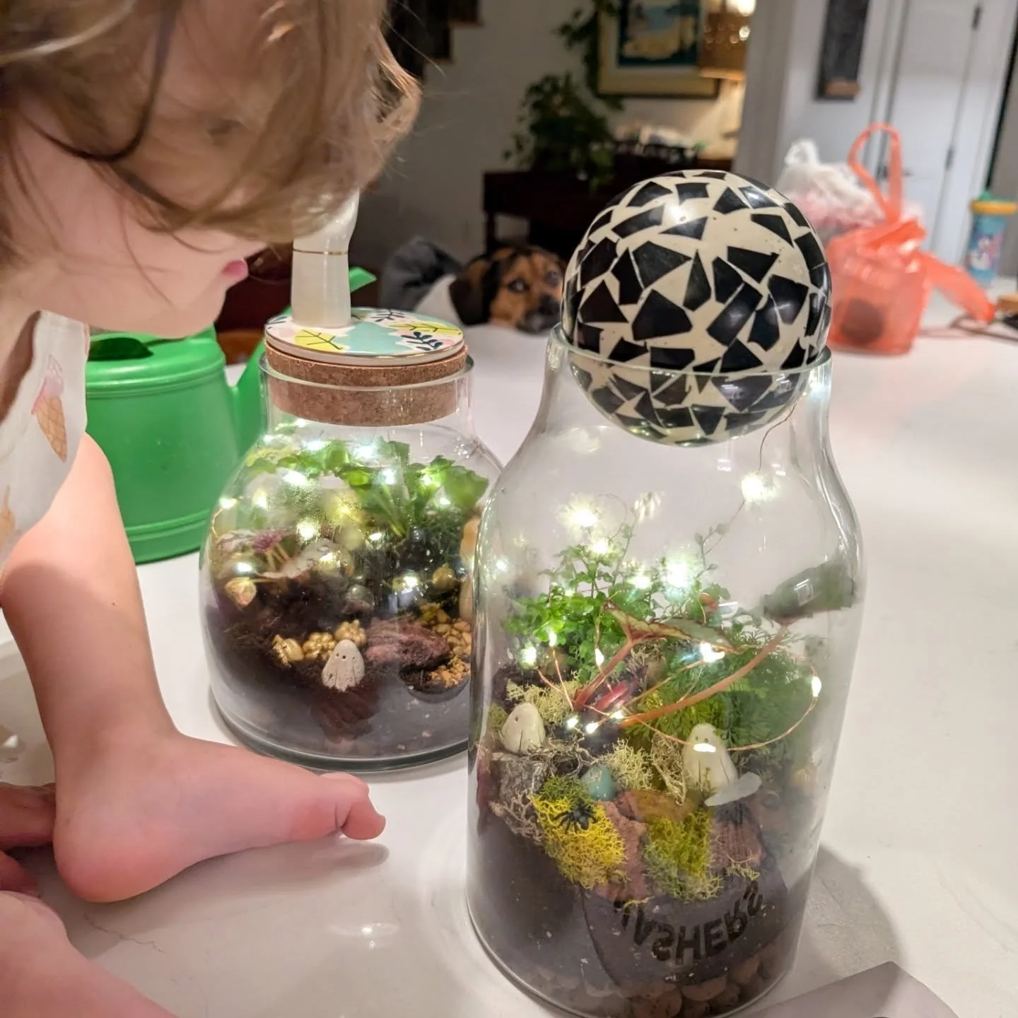 Love planting @copeplantshoppe makes everyday good. 
Xo