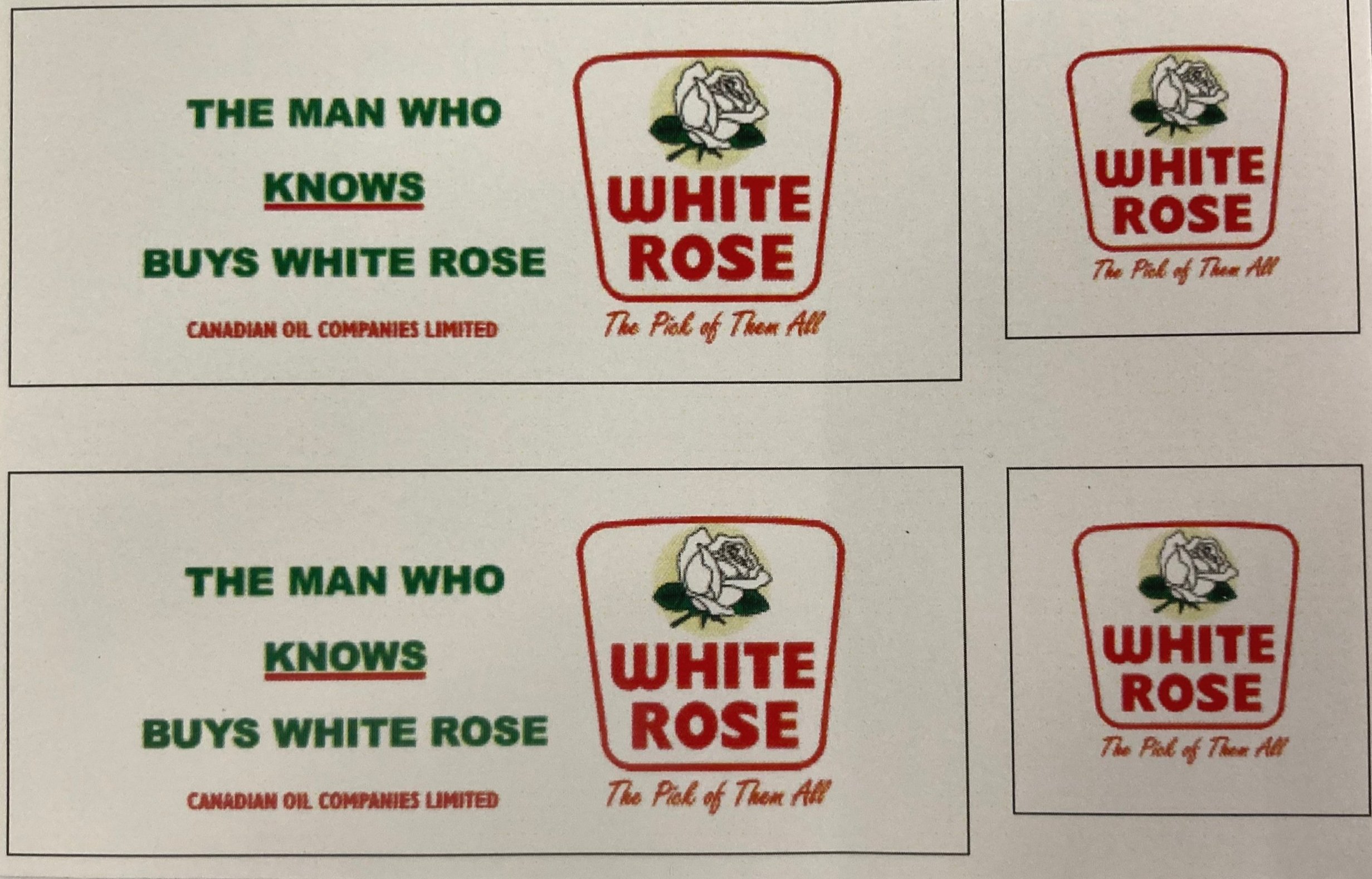 White+Rose+-+Yellow+Highlight.jpg